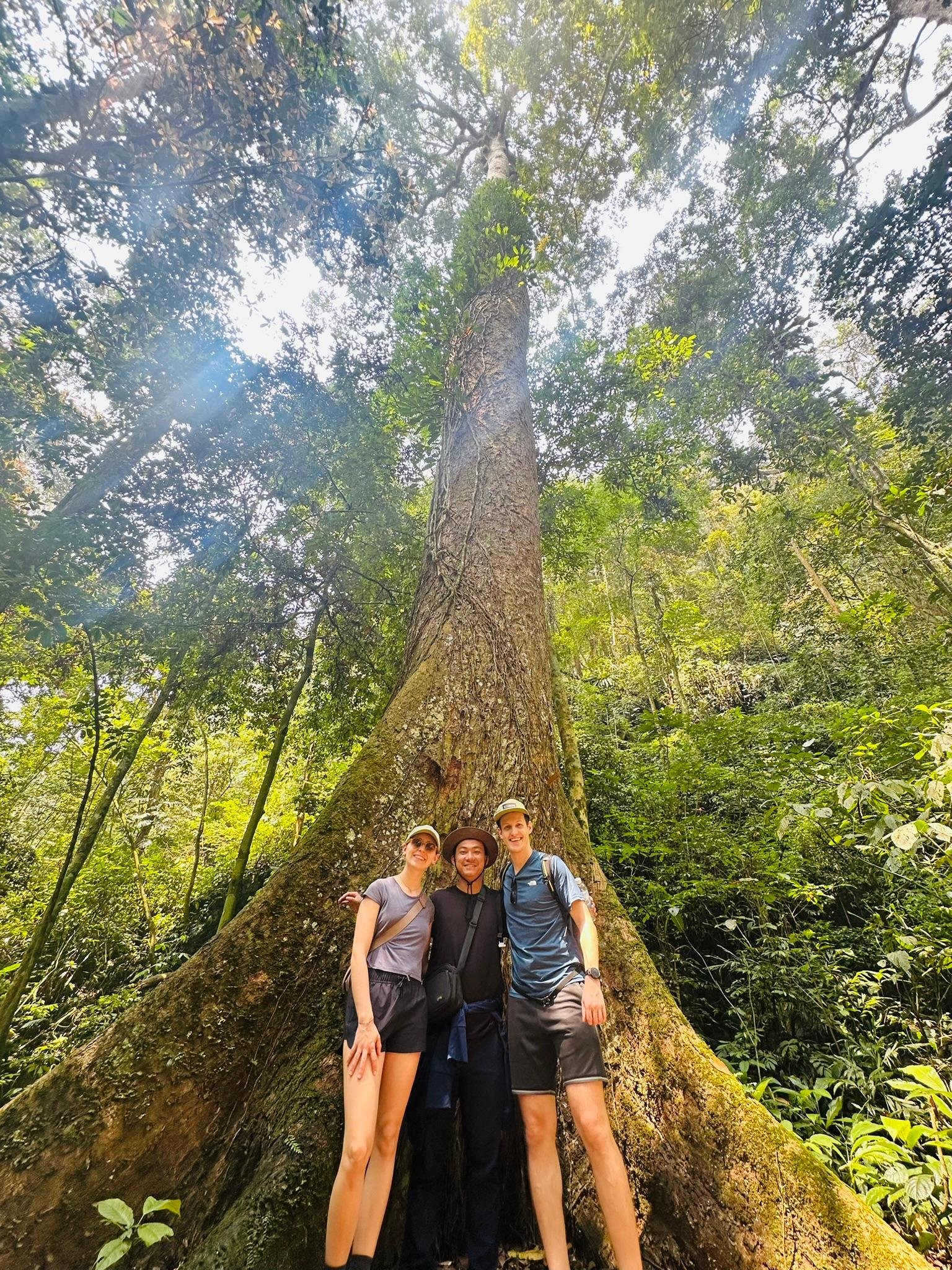 Cuc Phuong National Park Day Trek & Bear Sanctuary from Ninh Binh