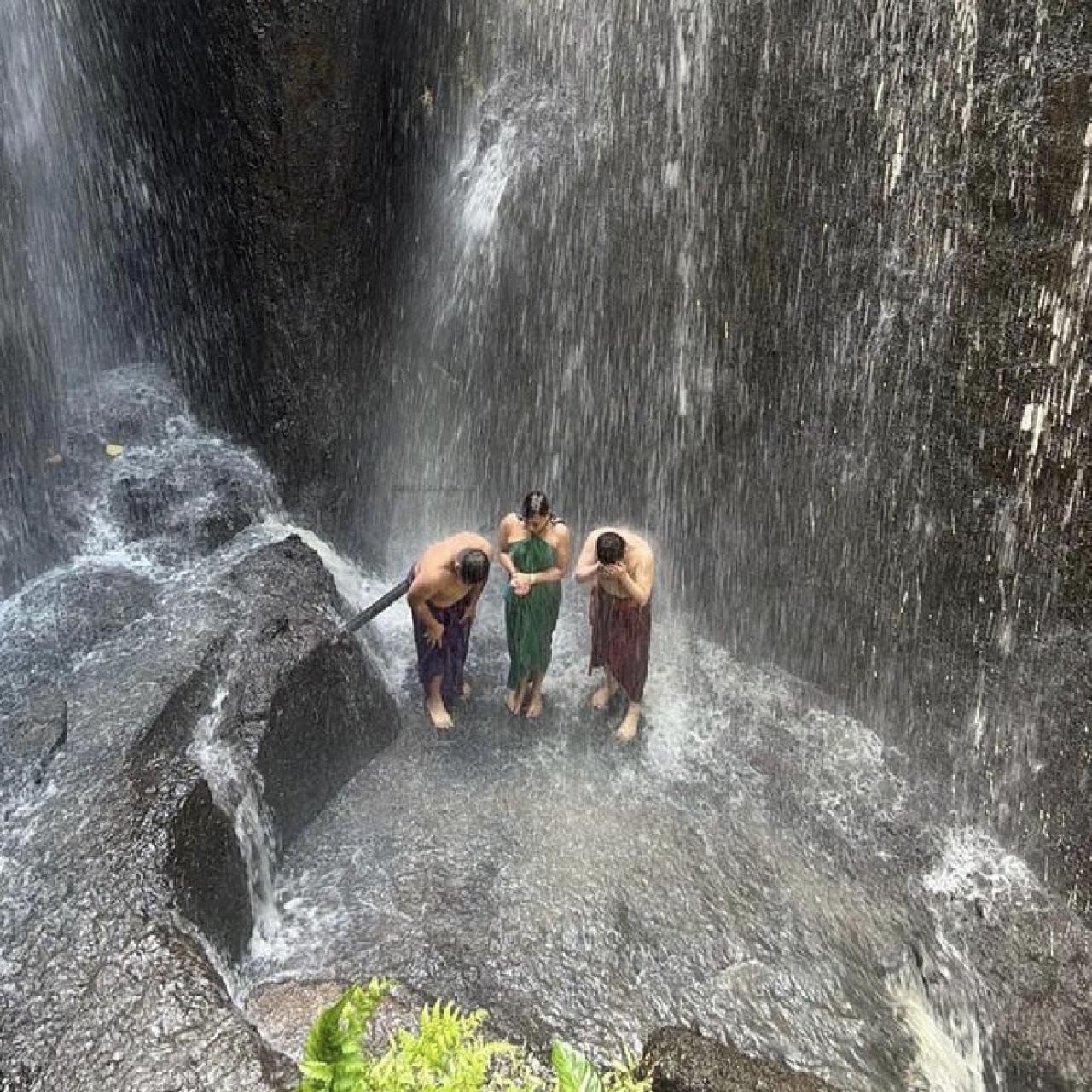 Ubud Purification, Rice Terraces & Temple Private Tour