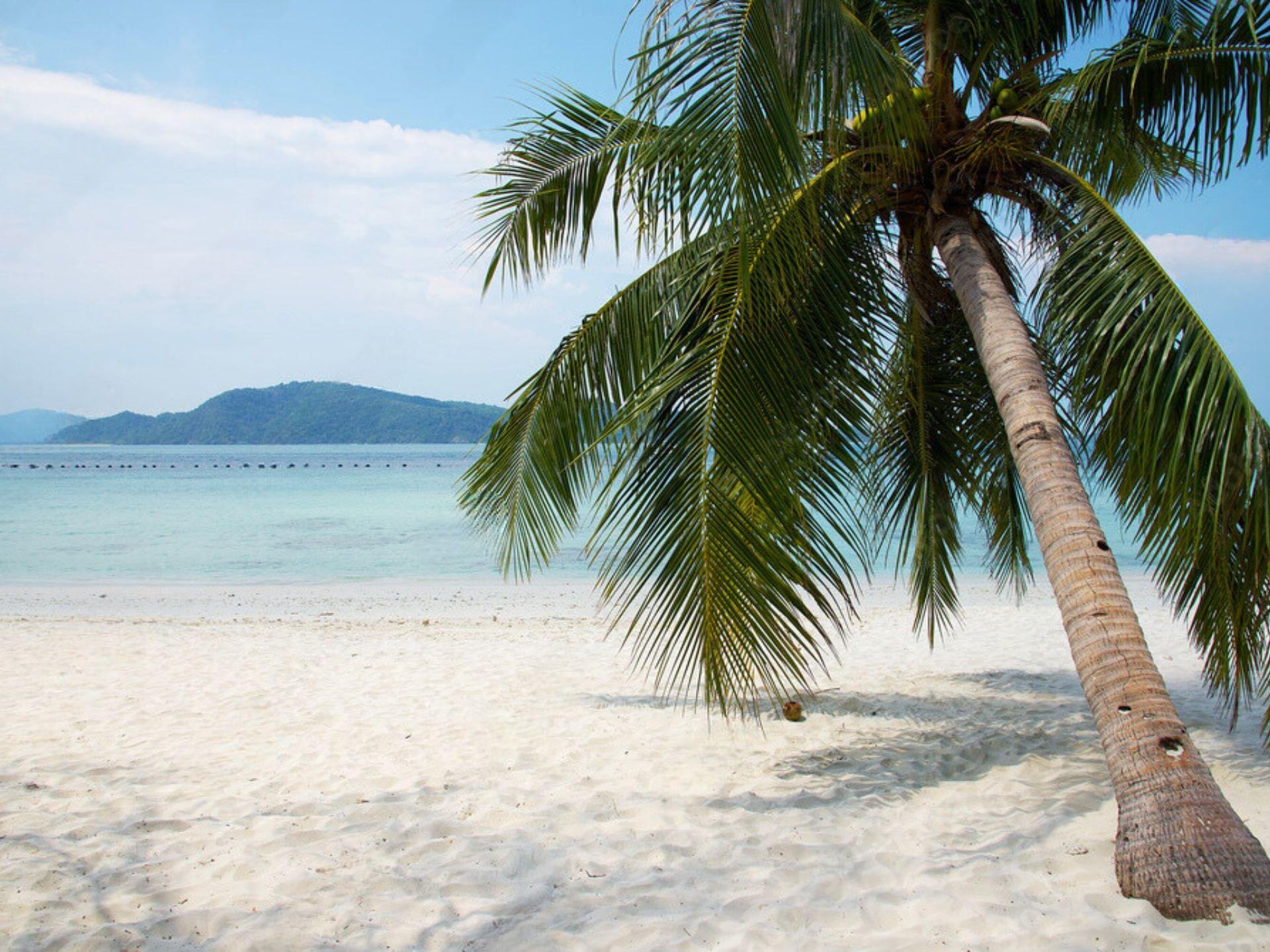 Phuket Speedboat Excursion: Racha & Coral Island