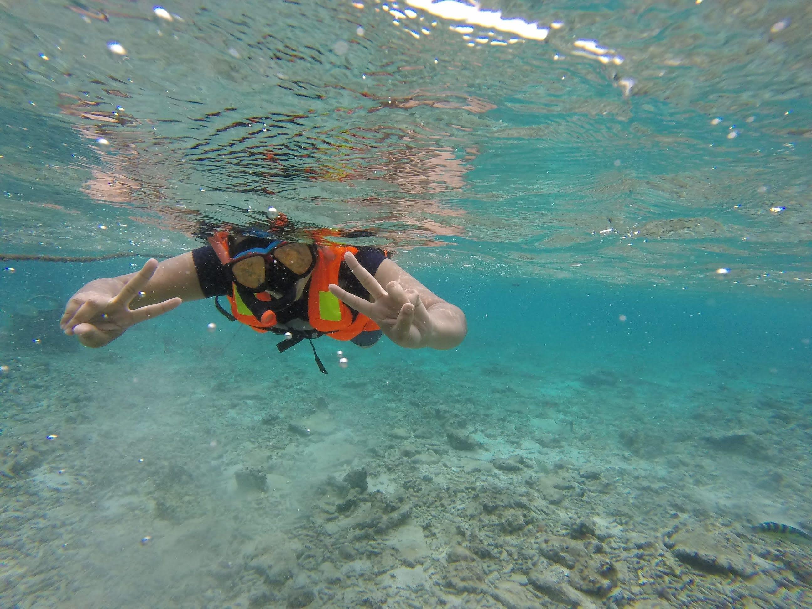 Pigeon Island Snorkeling Adventure with Marine Life