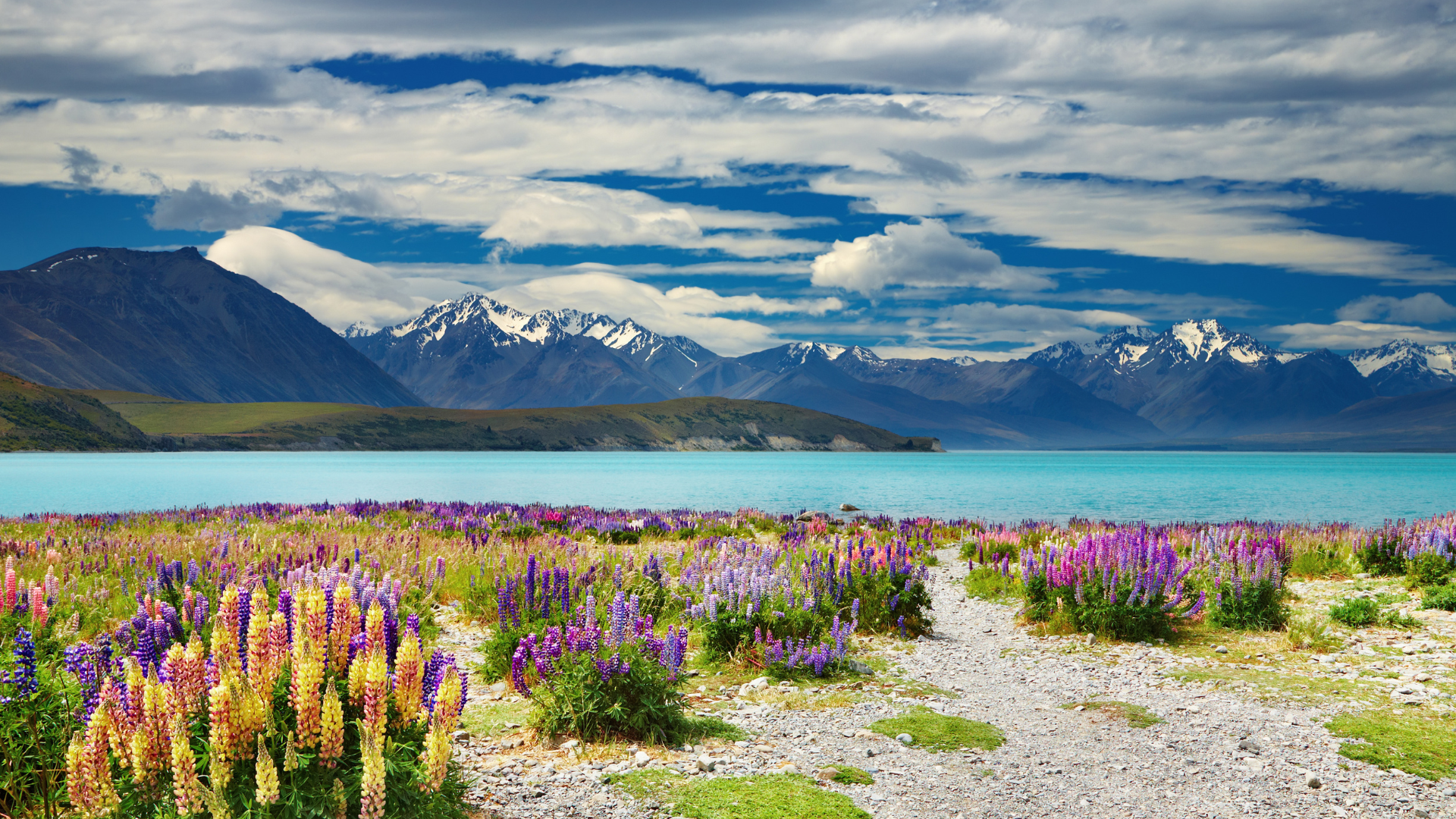Private Scenic Transfer: Queenstown to Lake Tekapo