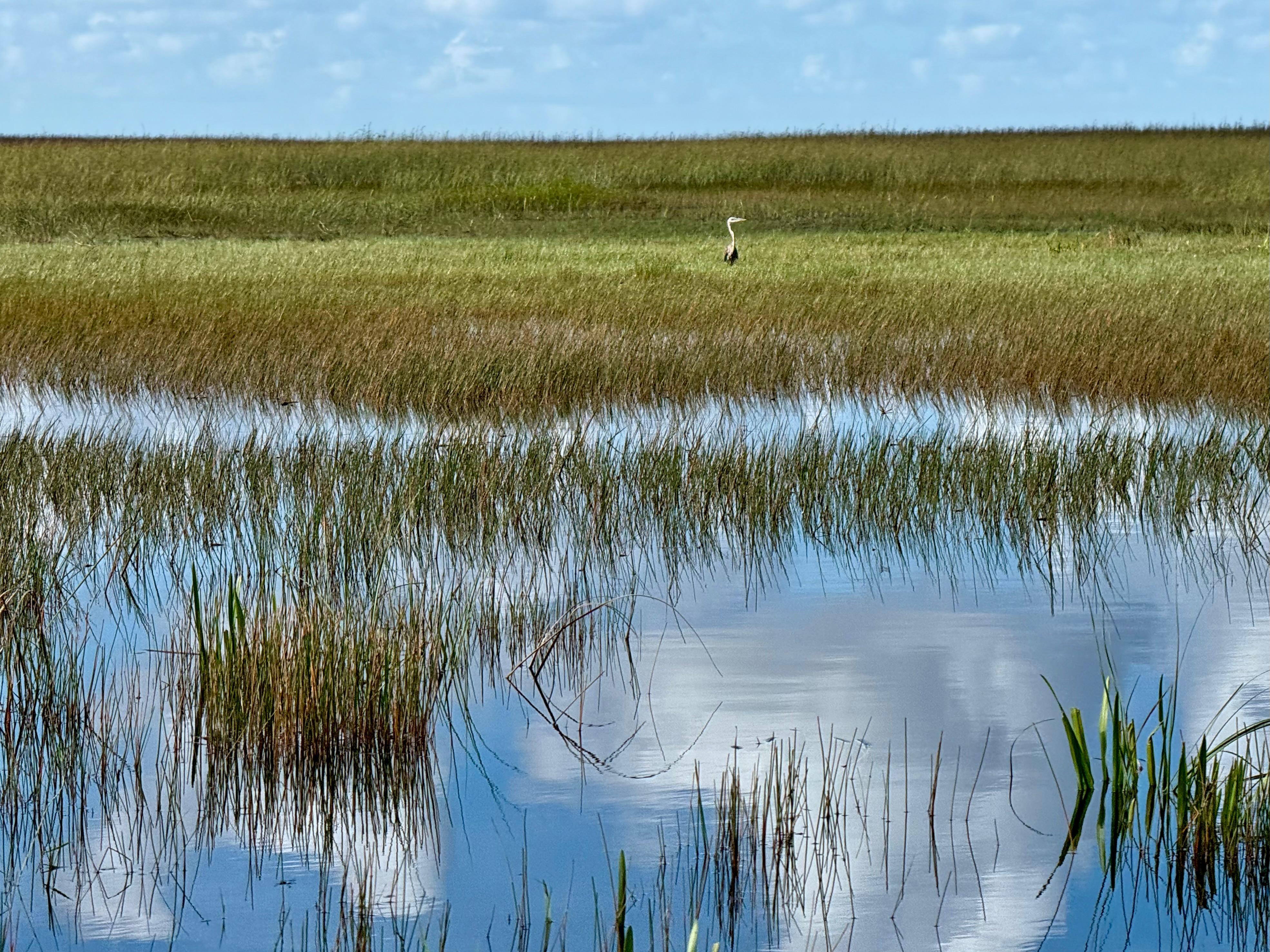 Small-Group Everglades Eco-Adventure & Private Islands Tour
