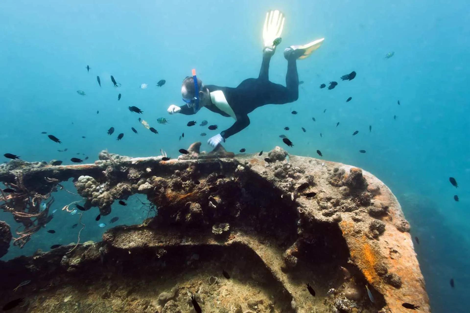 Coron WWII Wrecks & Reefs Snorkeling Tour