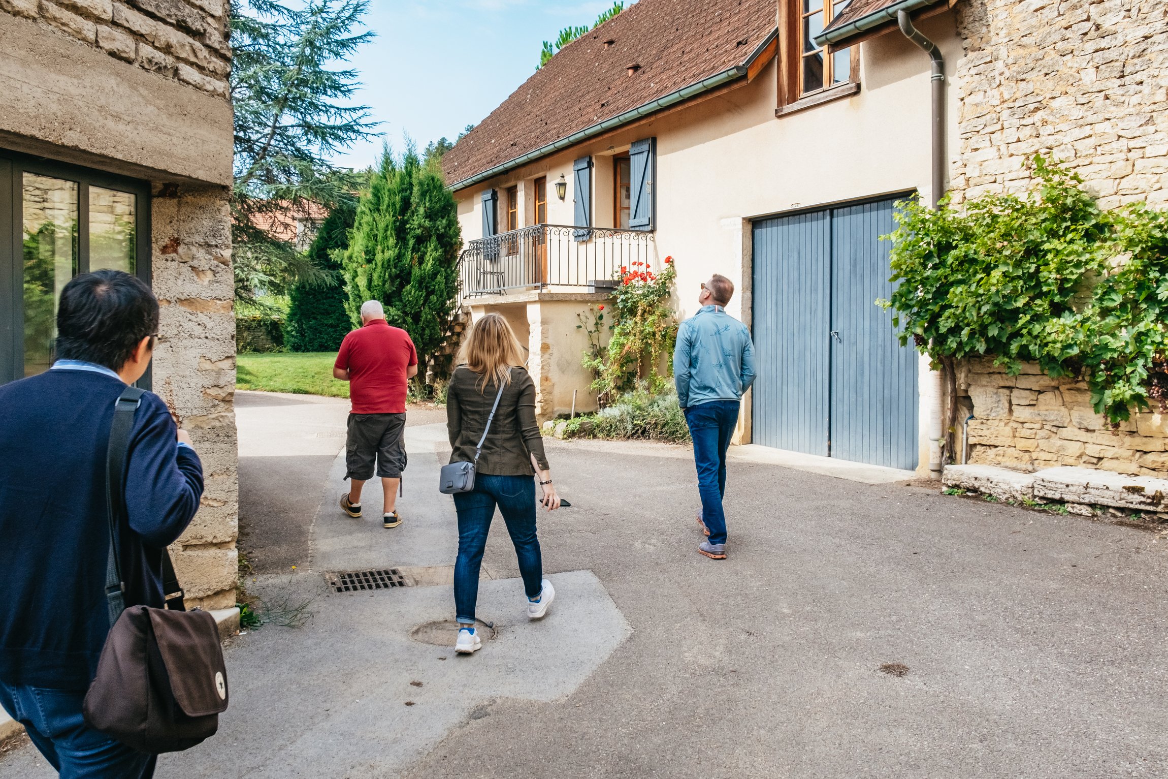 wine tour in Burgundy — photo 2