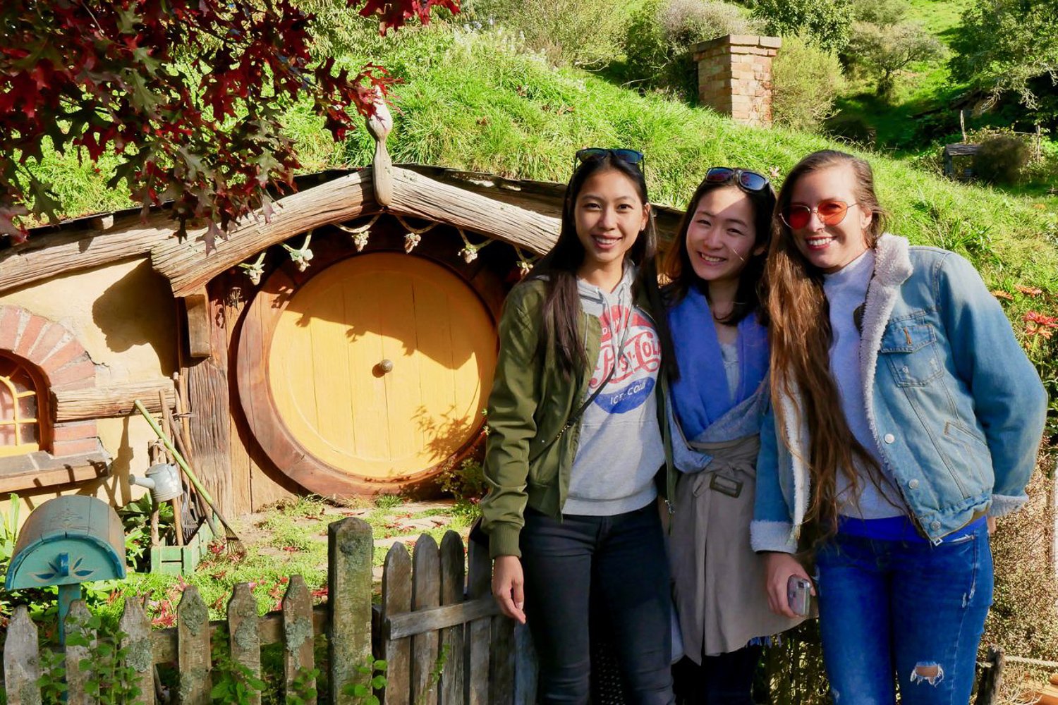 Auckland to Hobbiton & Waitomo Caves Full-Day Tour