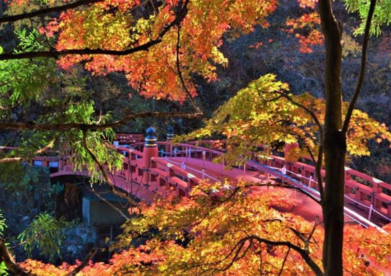 Nikko UNESCO Heritage Private Full-Day Tour from Tokyo