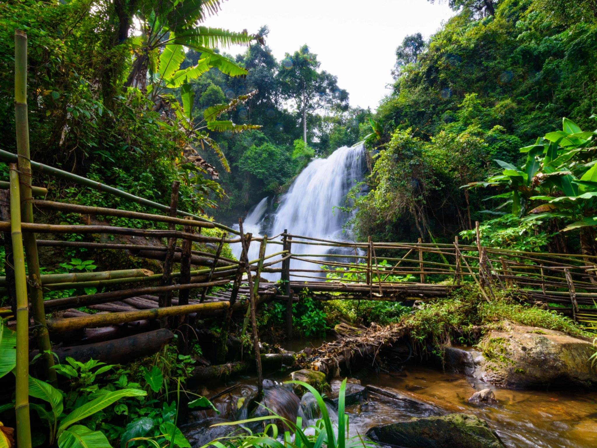 Doi Inthanon National Park Trek with Waterfall & Hill Tribe Visit