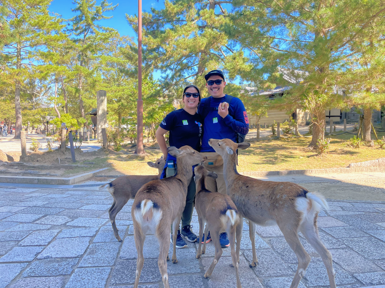 Nara Guided Half-Day Morning Tour from Kyoto
