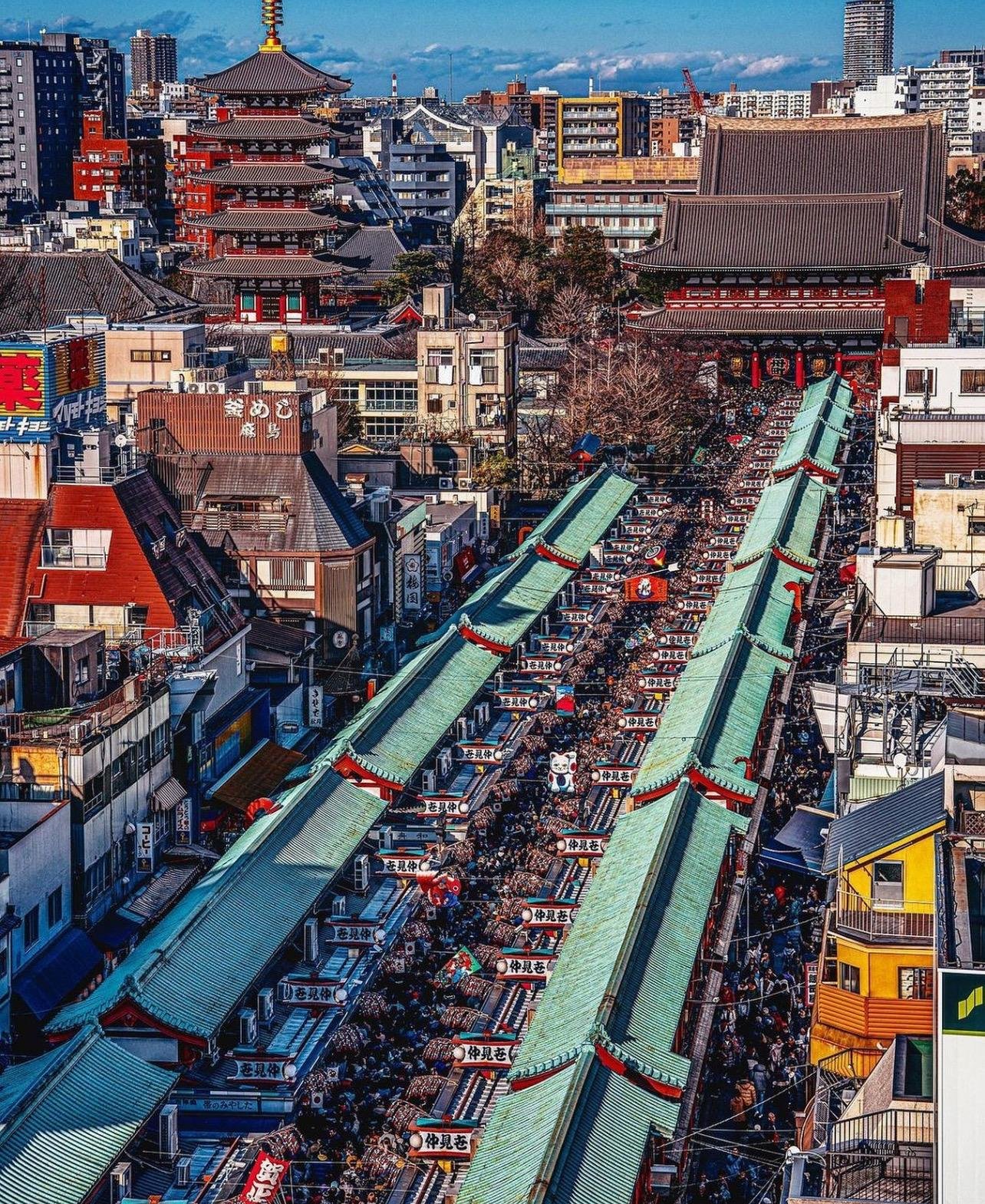 Tokyo Private Car Tour with Hotel Pickup & Drop-off