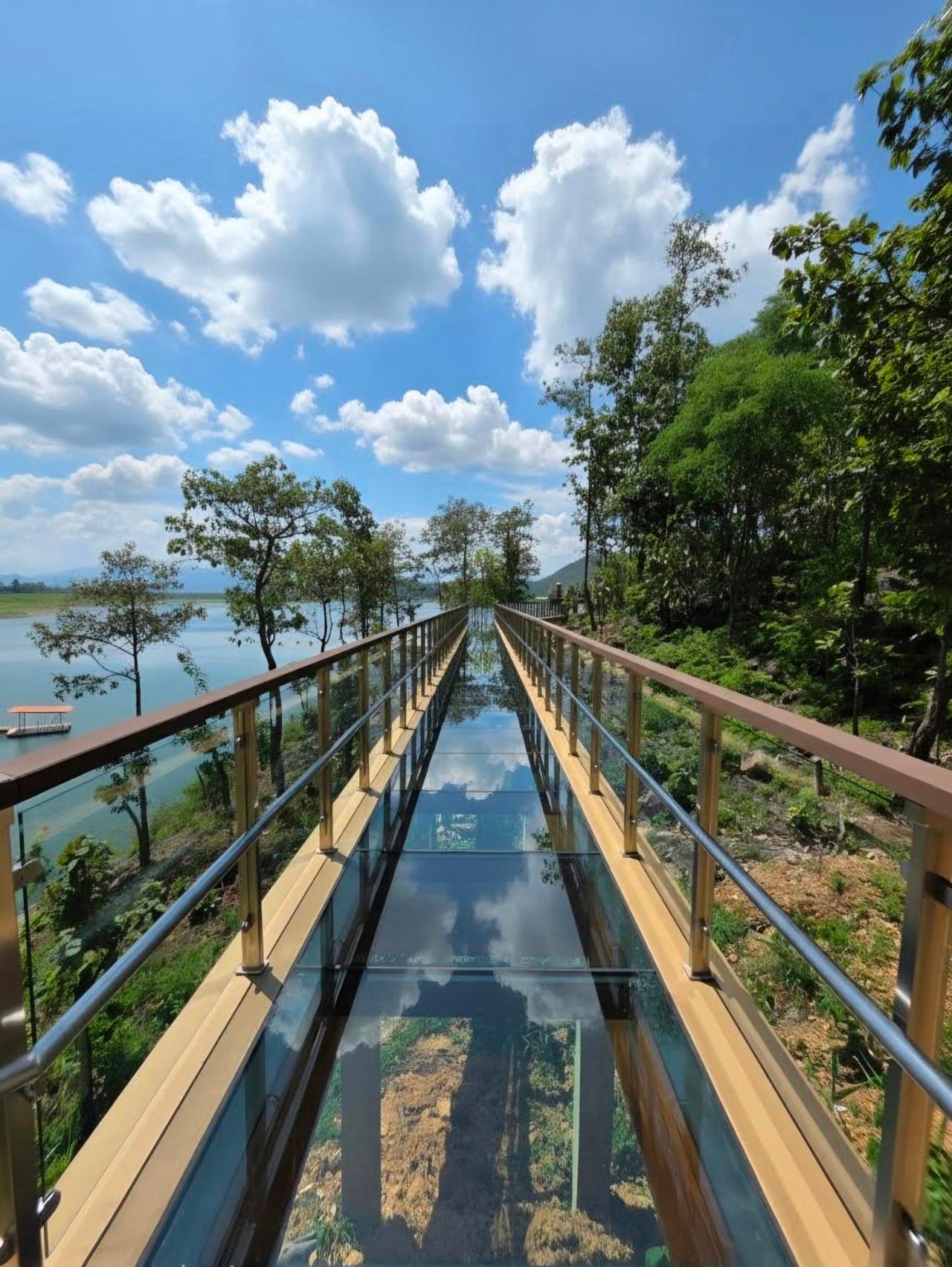 Chiang Mai Sticky Waterfall & Glass Skywalk Small Group Tour