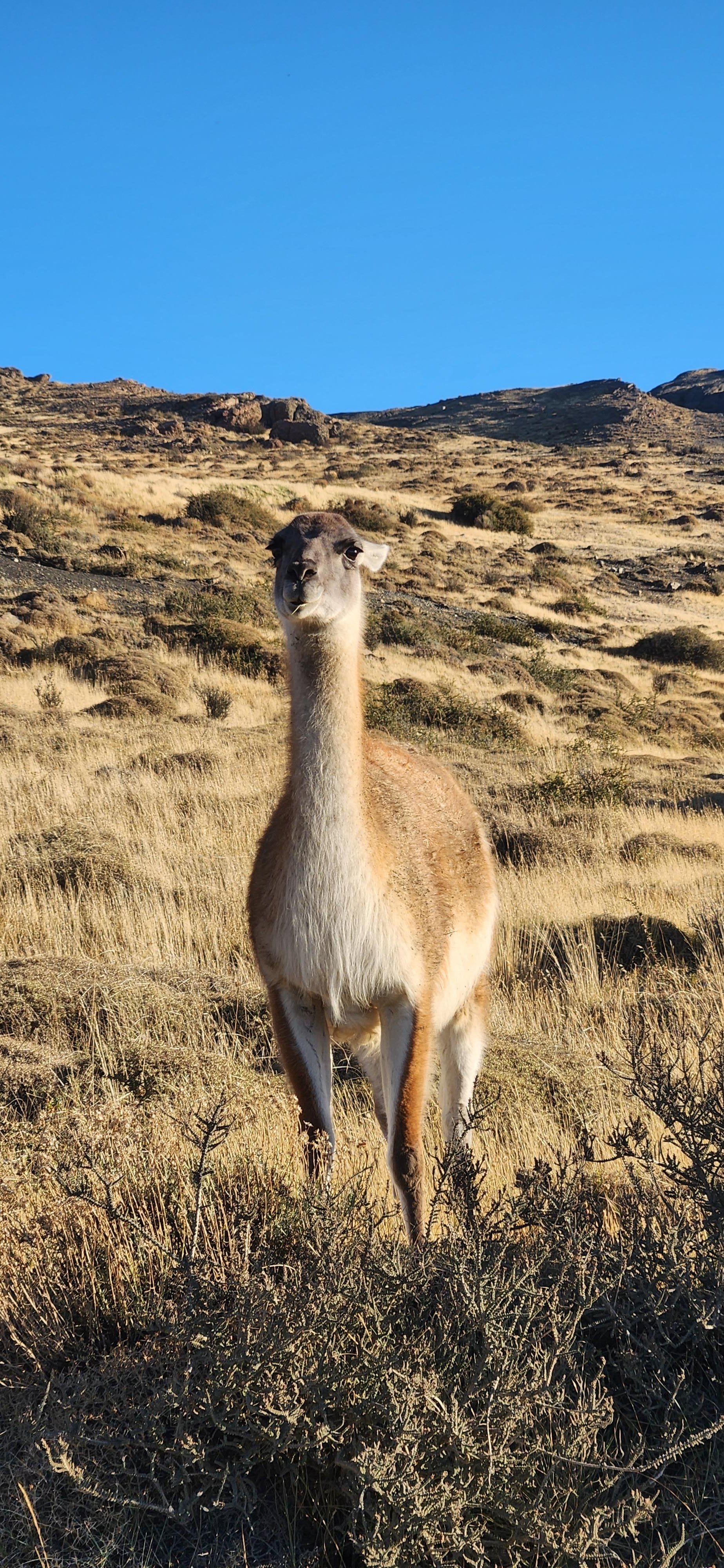 Torres del Paine Boat & Landmark Discovery Tour