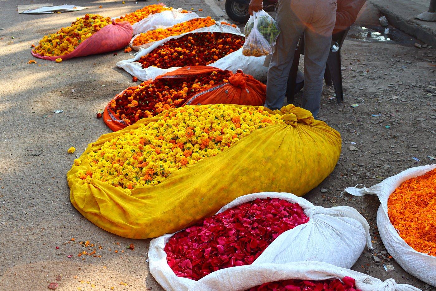 Jaipur Street Food & Culture Walking Tour