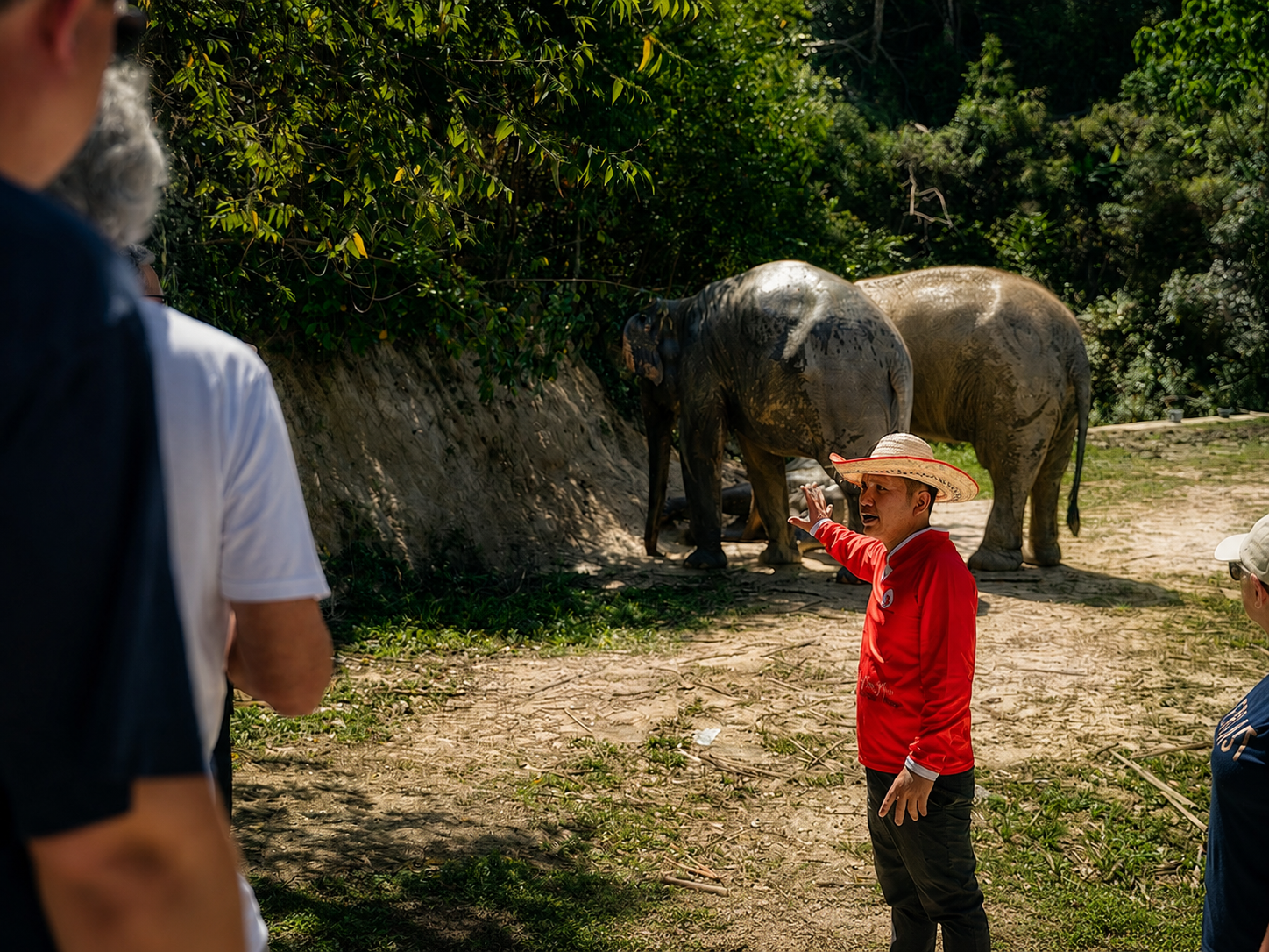Patong Elephant Sanctuary: Ethical Learning Experience