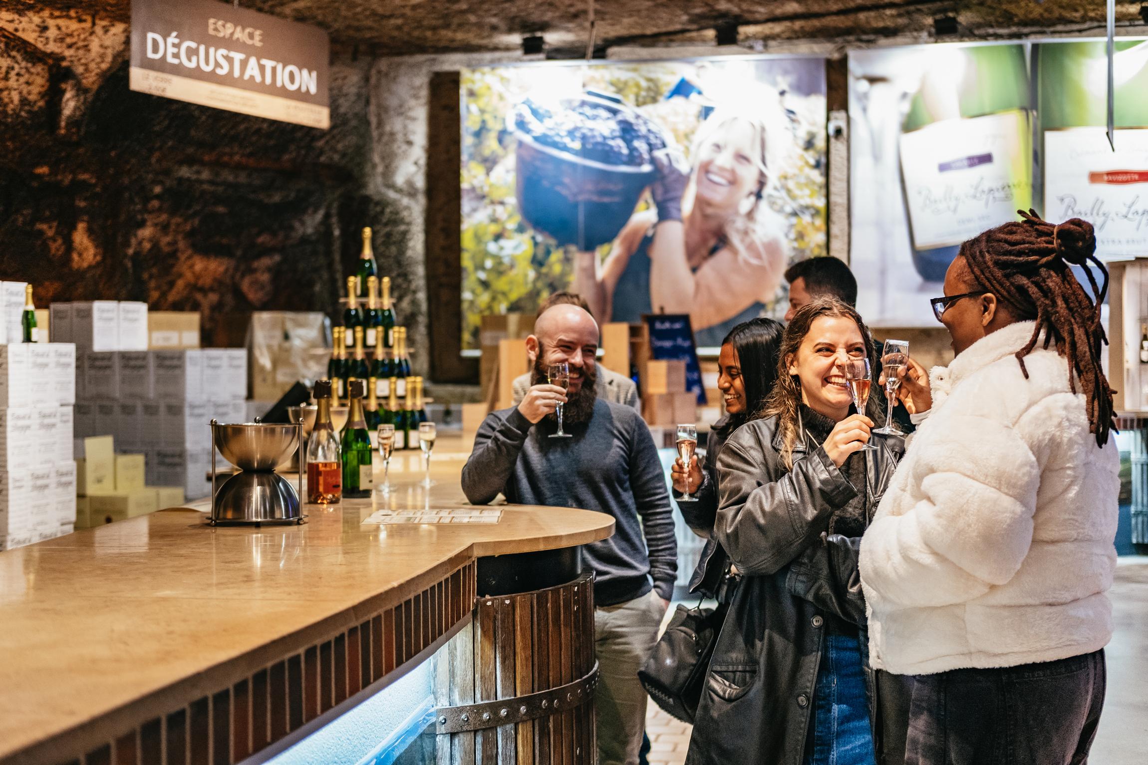 Burgundy Winery Day Tour from Paris with 10+ Wine Tastings