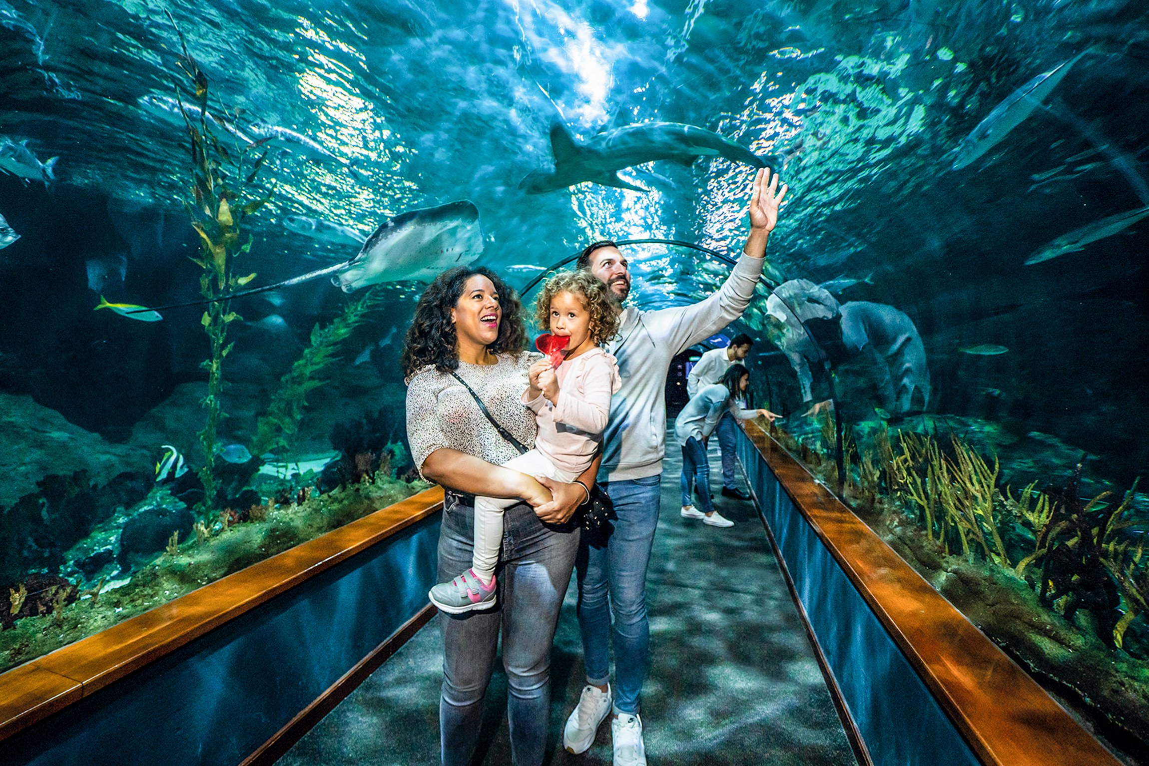 Loro Parque Tenerife Official Entry Ticket