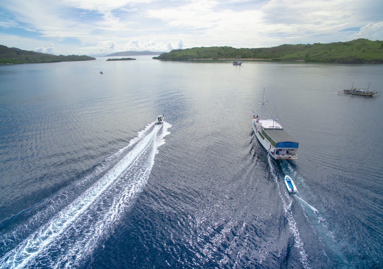 Komodo Island 3-Day Private Speedboat Adventure with Hotel