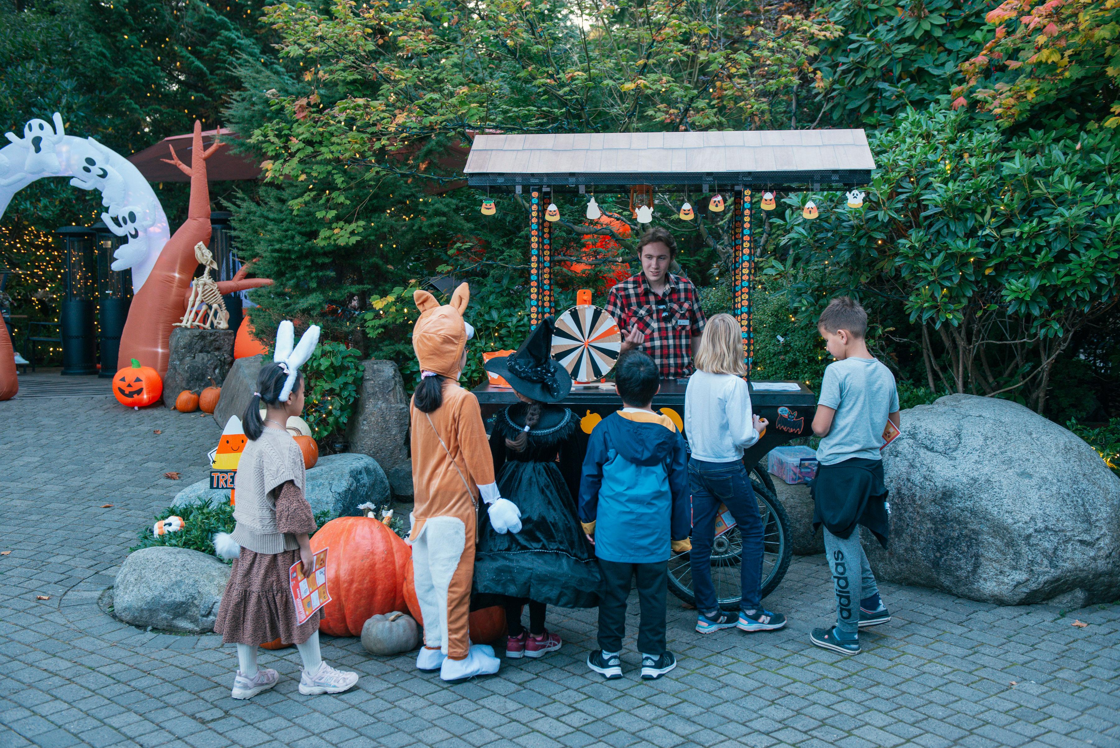Capilano Canyon Halloween & Vancouver Twilight Private Tour