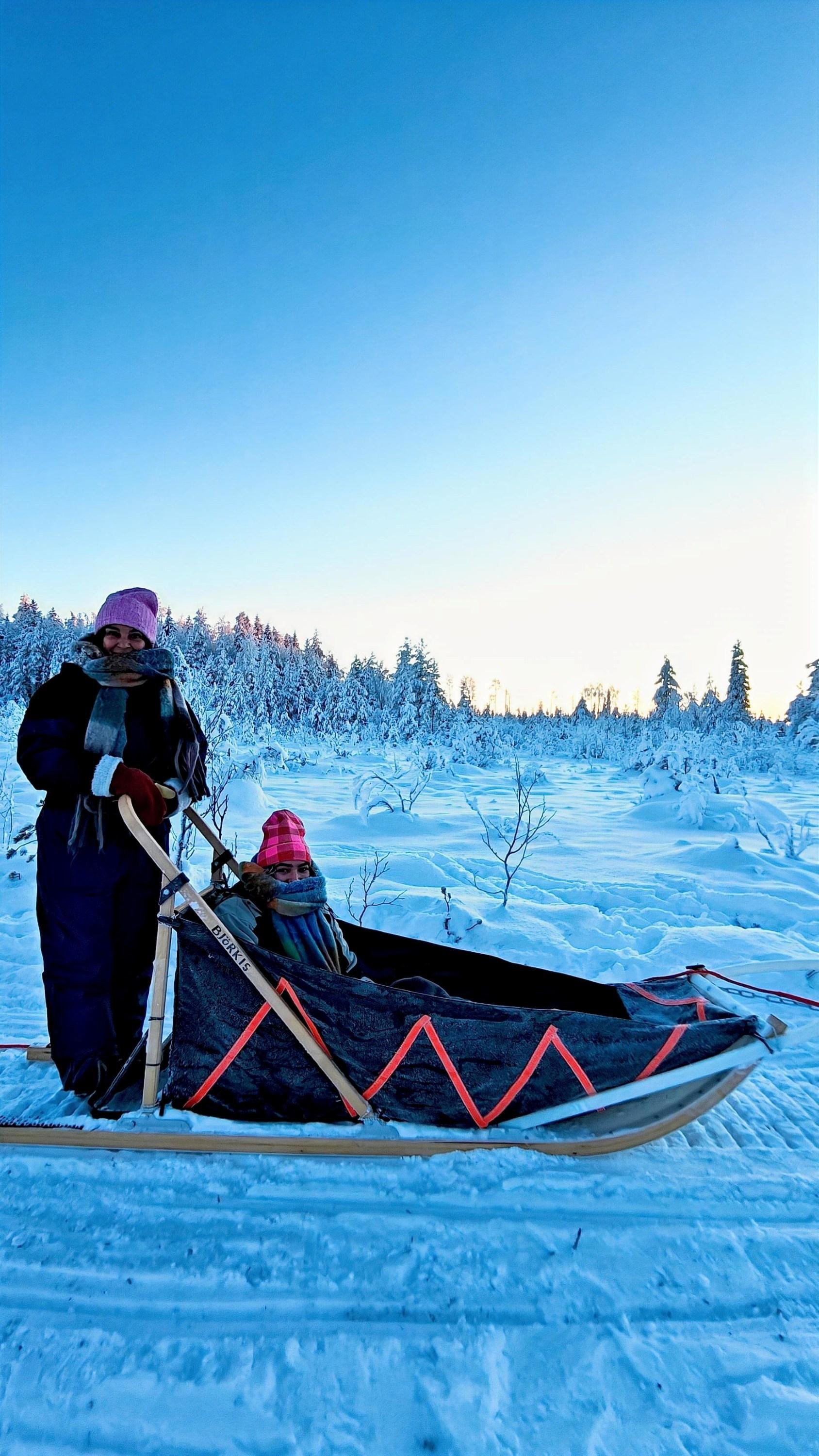 Rovaniemi Husky Safari with Transfers & Fireside BBQ
