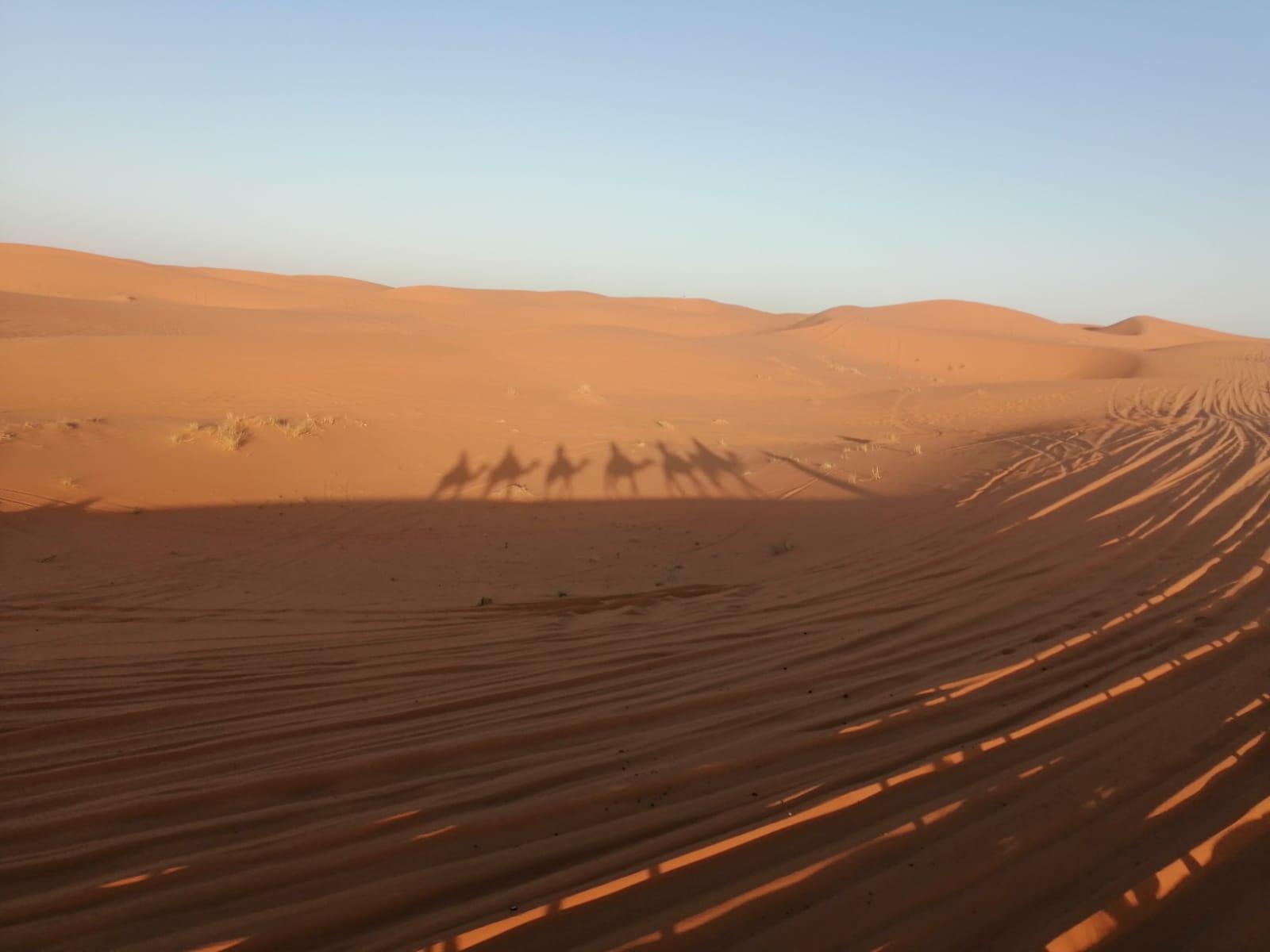 3-Day Sahara Desert Adventure: Marrakech to Fes via Merzouga
