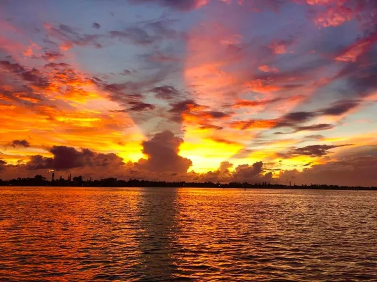 Anna Maria Island Sunset Dolphin Watching Cruise