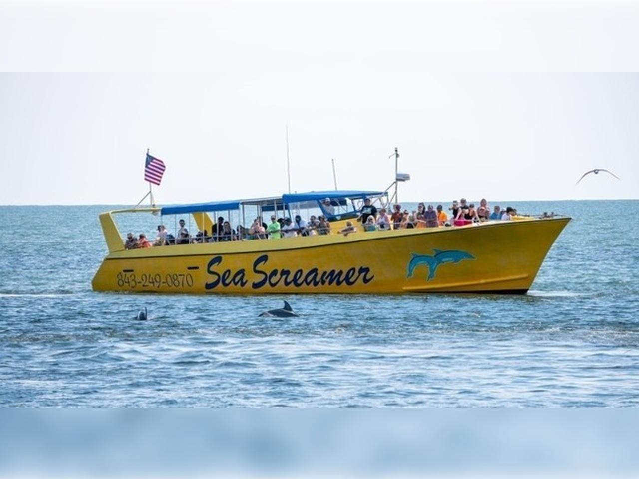 Myrtle Beach: Sea Screamer Dolphin Sightseeing & Speedboat Tour