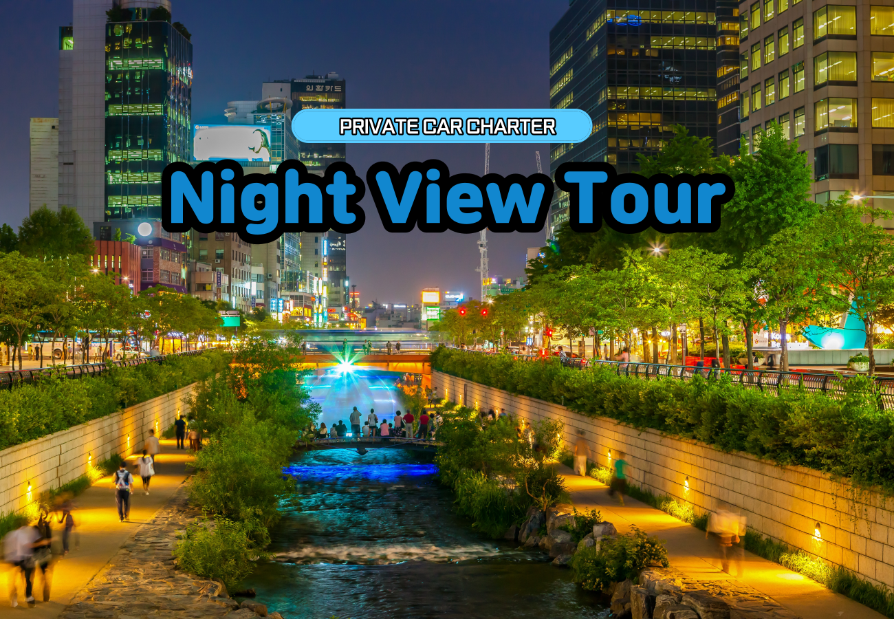 Seoul Private Night View Tour by Chauffeured Car
