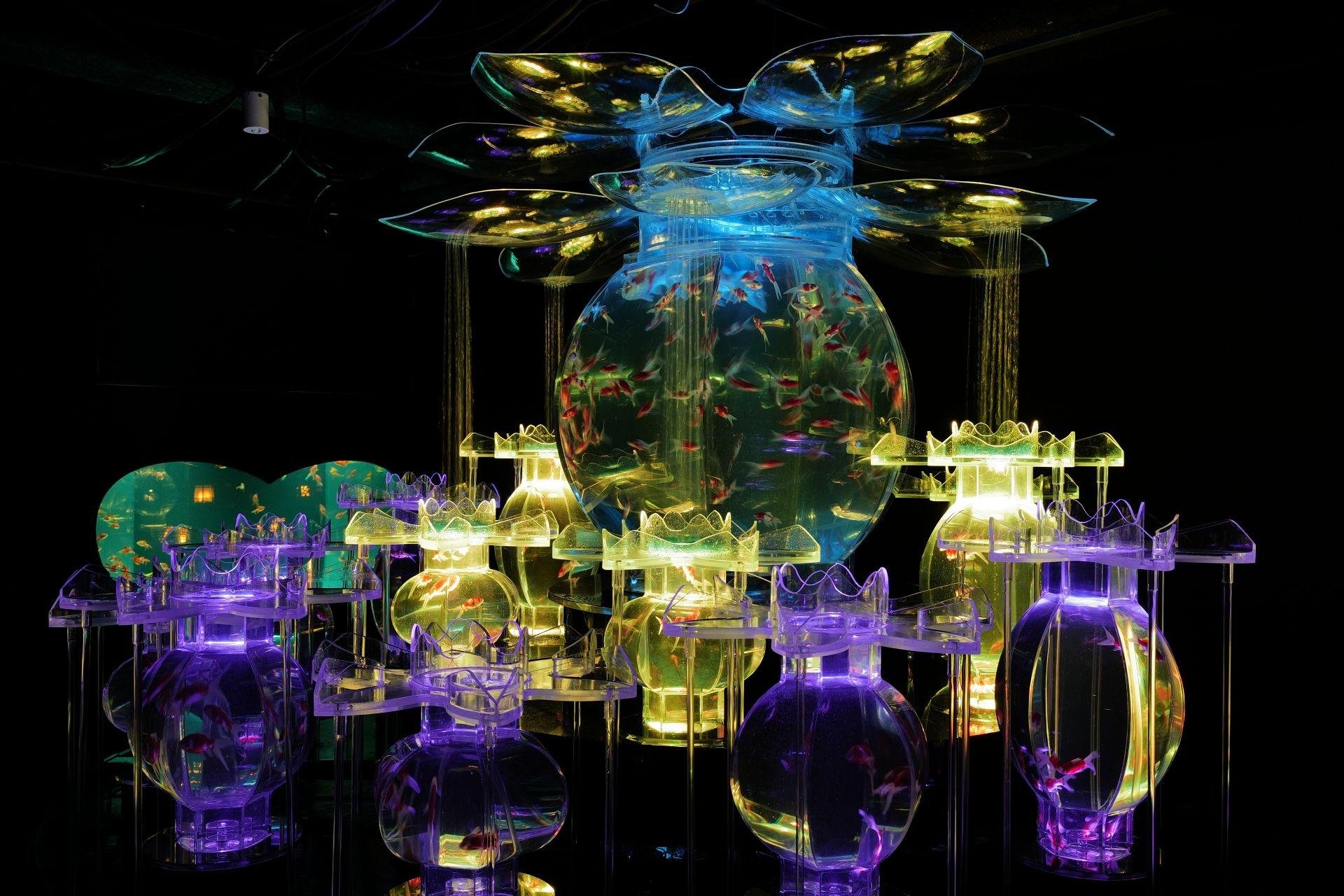 Art Aquarium Museum GINZA Entry Ticket