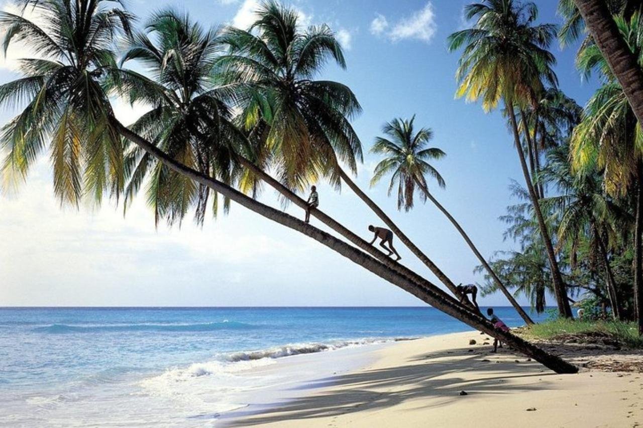 Barbados Coast to Coast Half-Day Tour