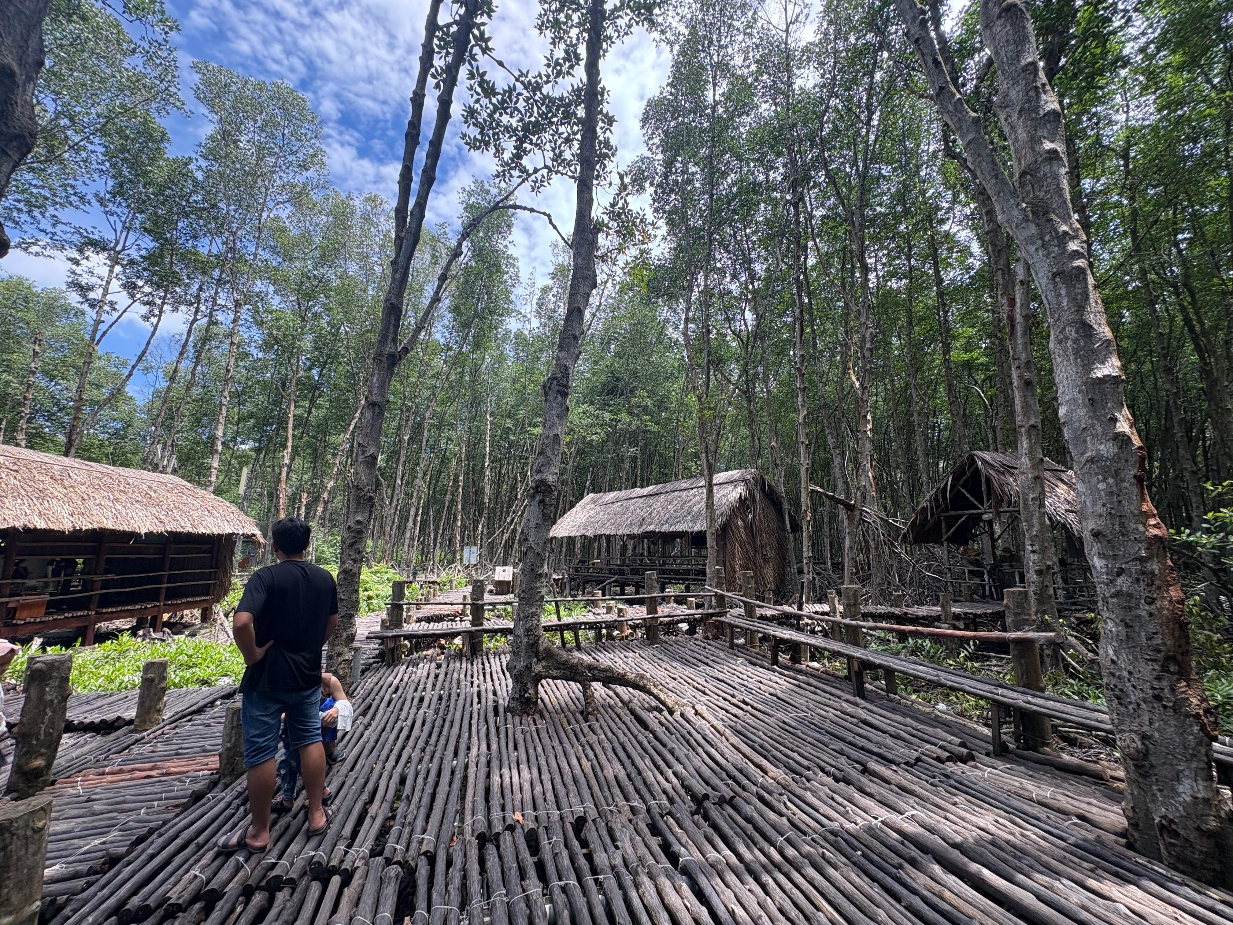 Can Gio Mangrove Forest & Monkey Island Adventure