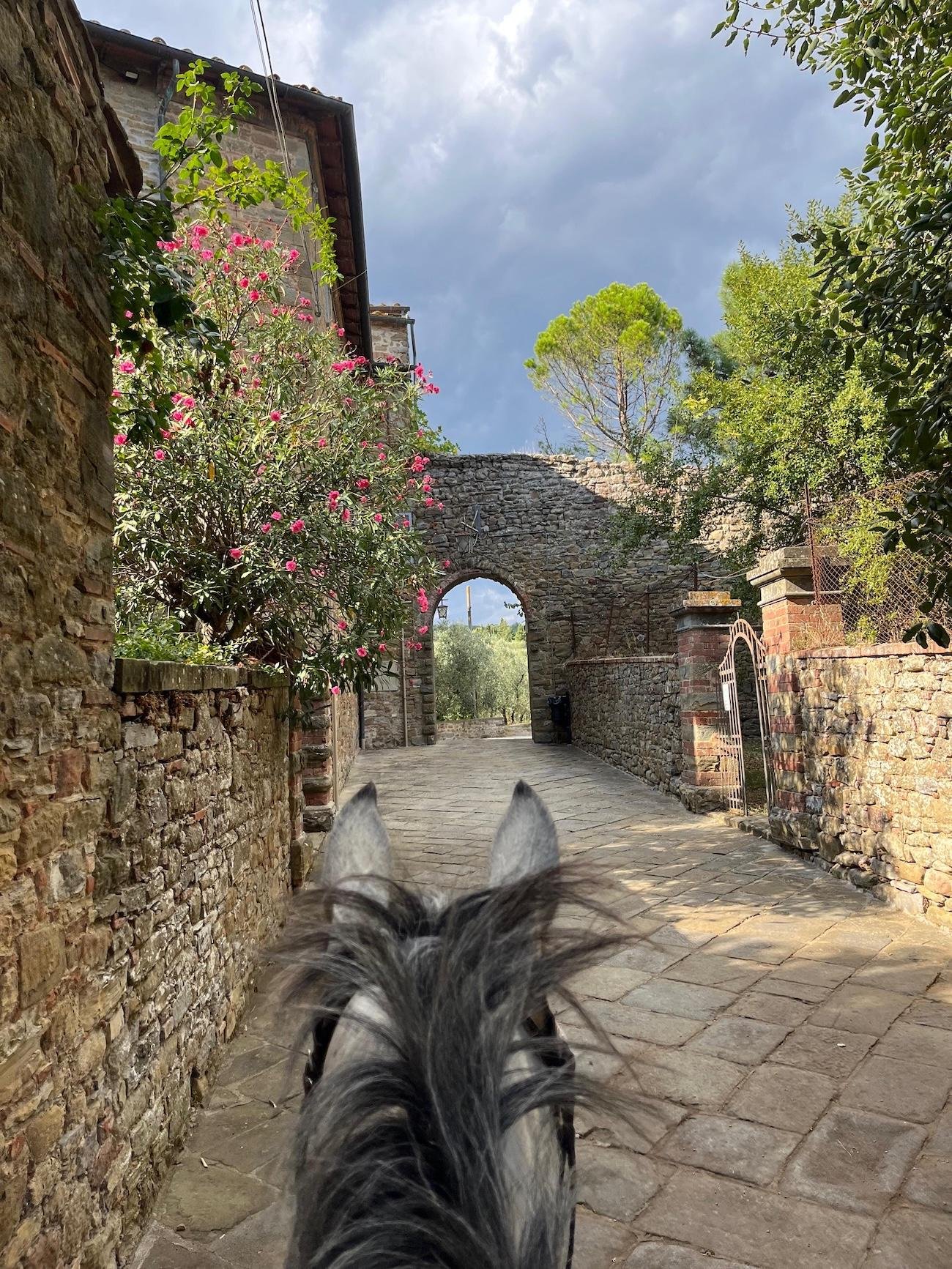 Arezzo: Beginner Horseback Ride Through the Tuscan Countryside