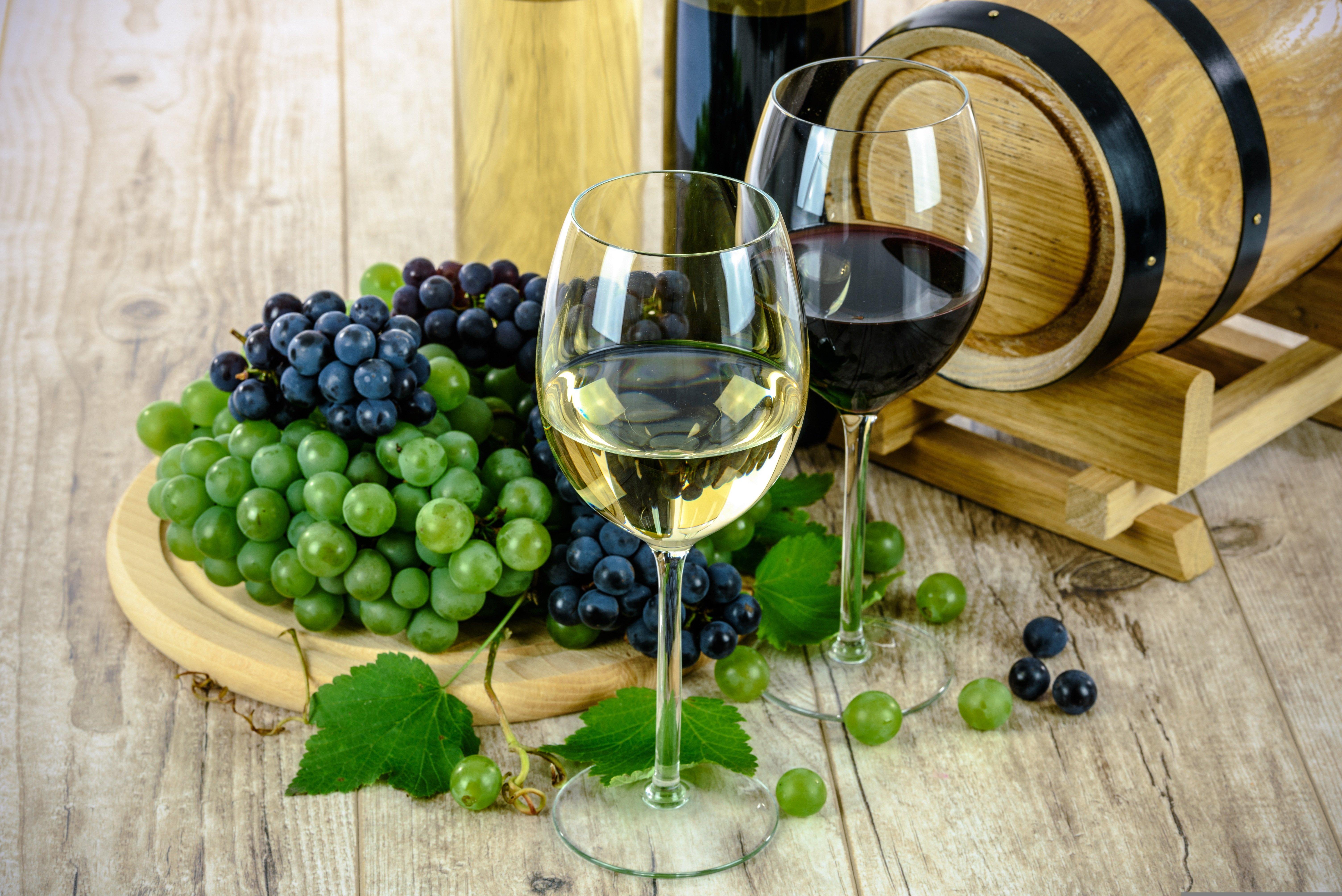 Half-Day Stellenbosch Wine Tour from Cape Town