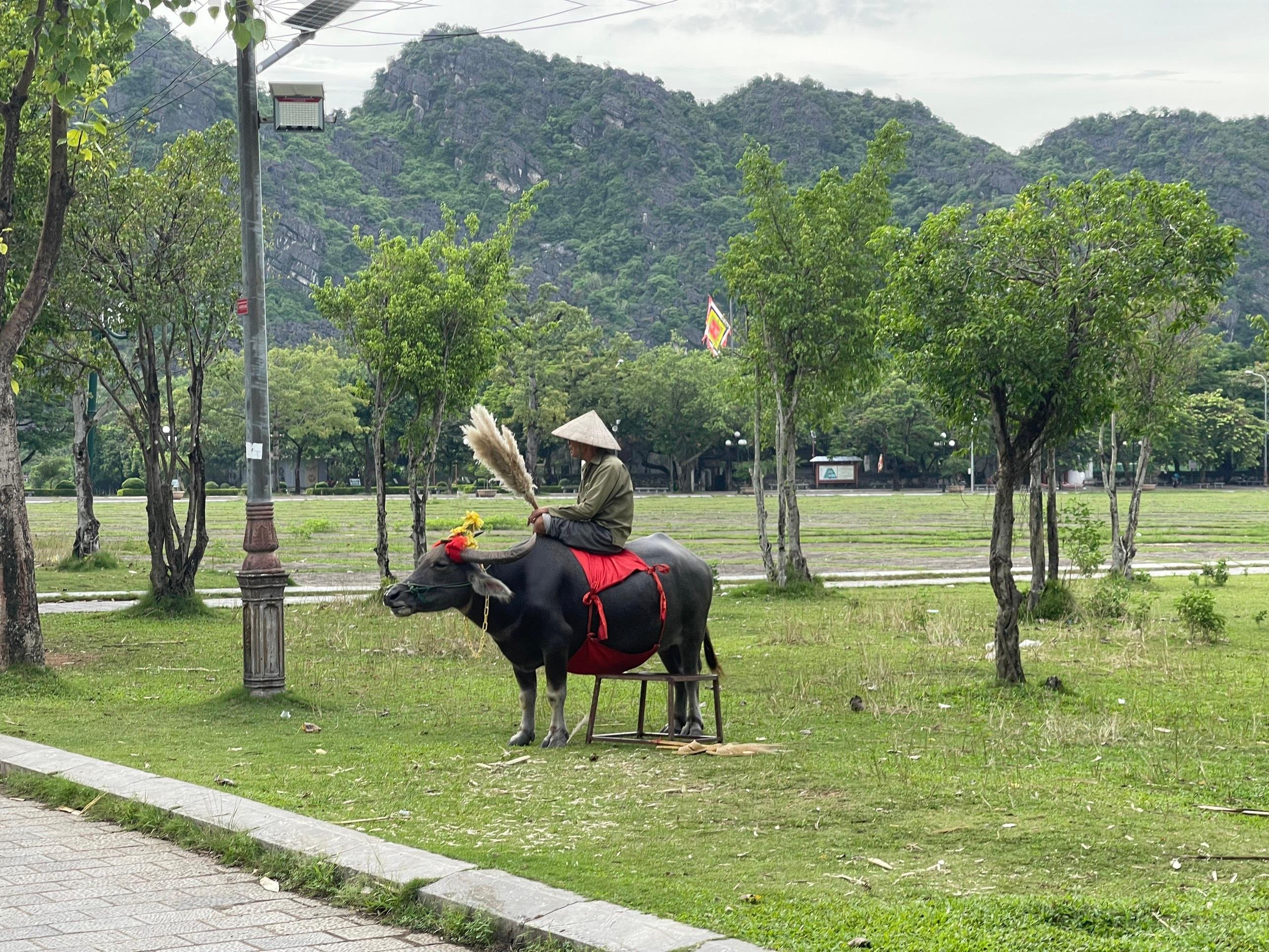 2-Day Ninh Binh Escape from Hanoi: Caves, Cycling & Culture