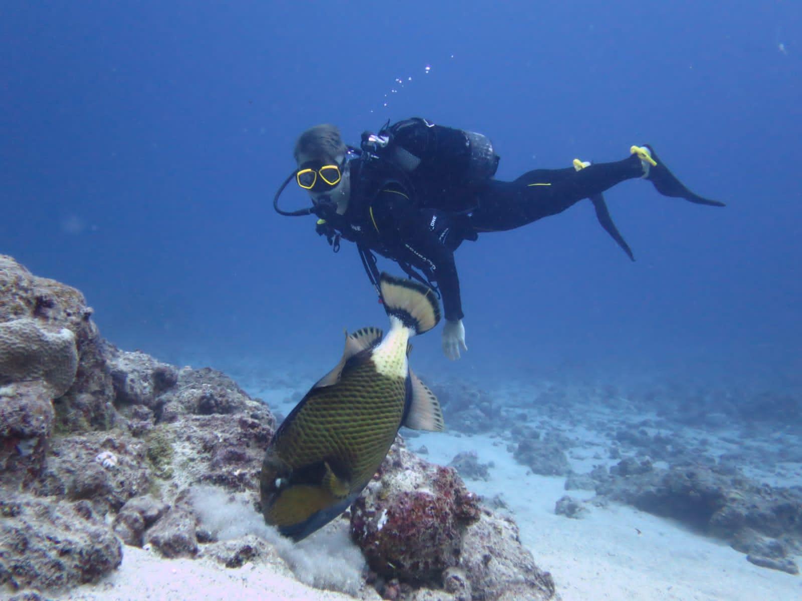 Belle Mare Scuba Discovery: East Coast Mauritius Dive