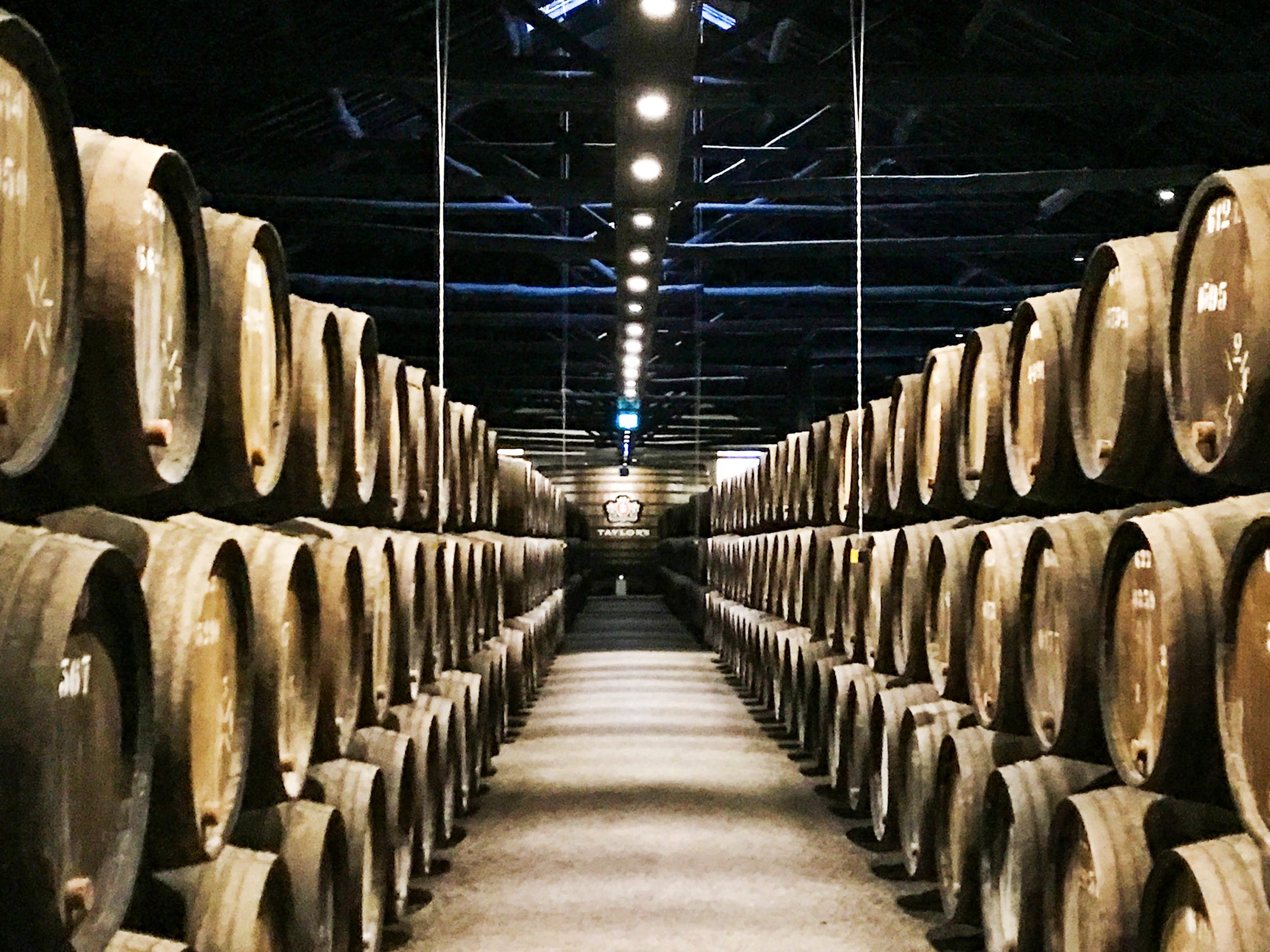 Douro Valley Day Trip: Boat Cruise, Wine Tasting & Traditional Lunch from Porto