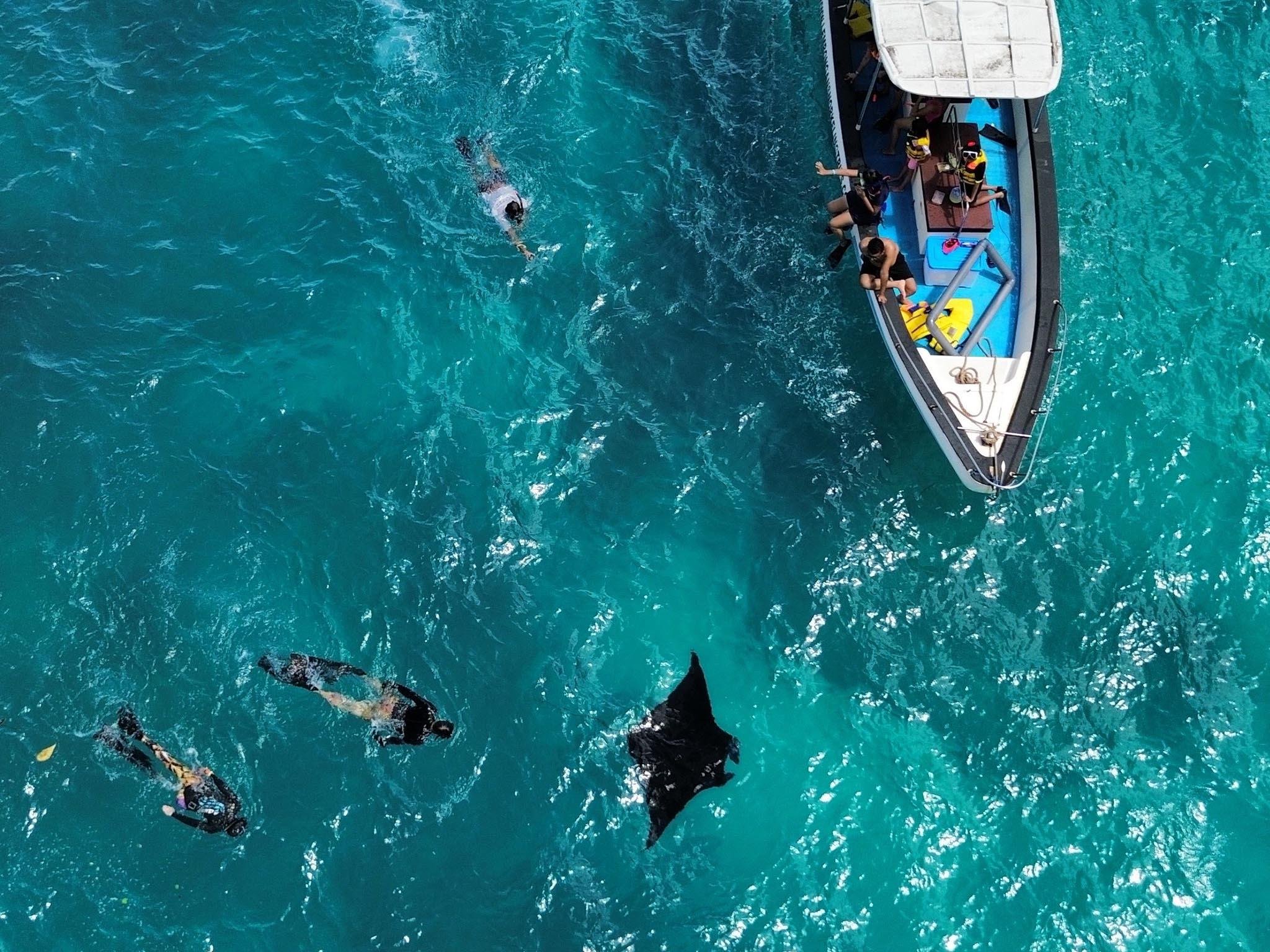 Nusa Penida Private Snorkeling Adventure