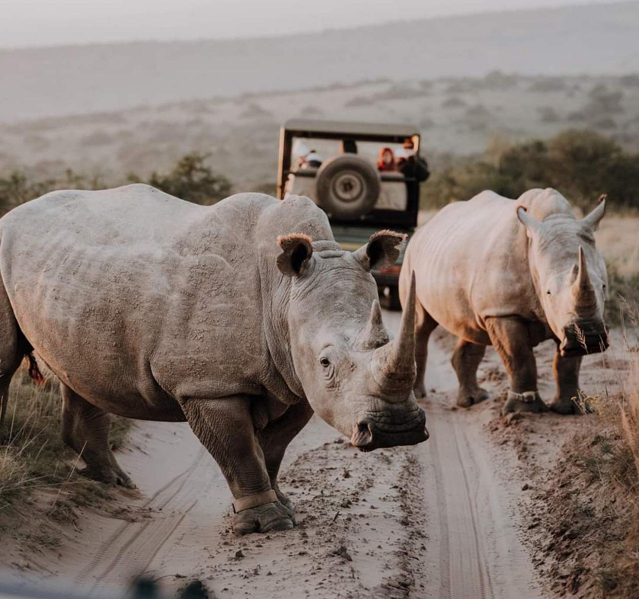 Kragga Kamma Private Game Reserve Safari from Port Elizabeth