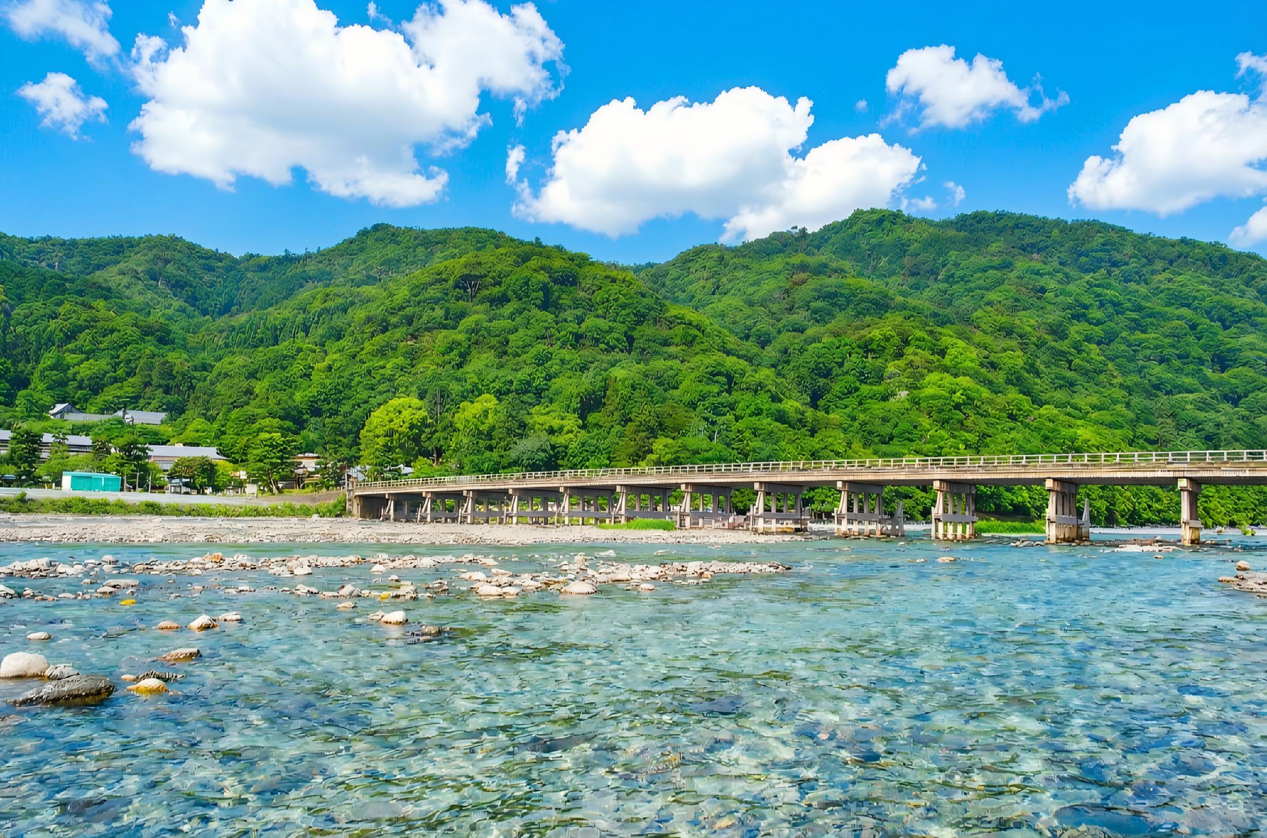 Kyoto & Arashiyama Cultural Explorer Day Trip