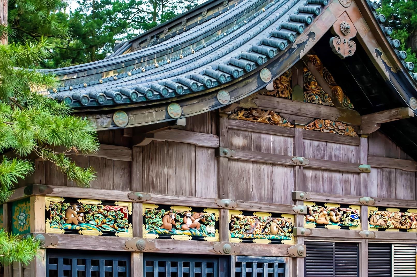 Tokyo to Nikko: Toshogu Shrine & Lake Chuzenji Day Trip