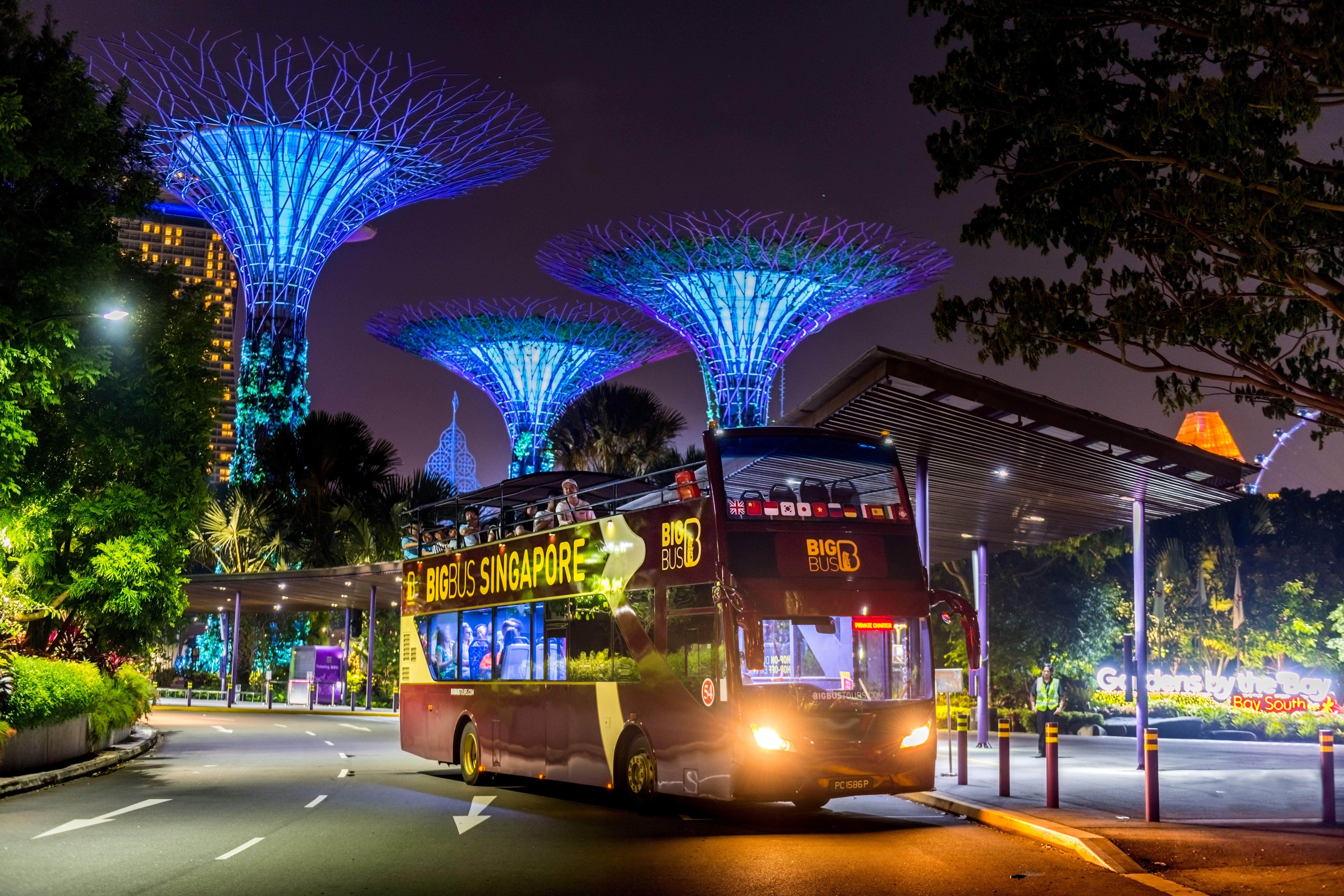Singapore Open-Top Night Bus Tour with Live Guide