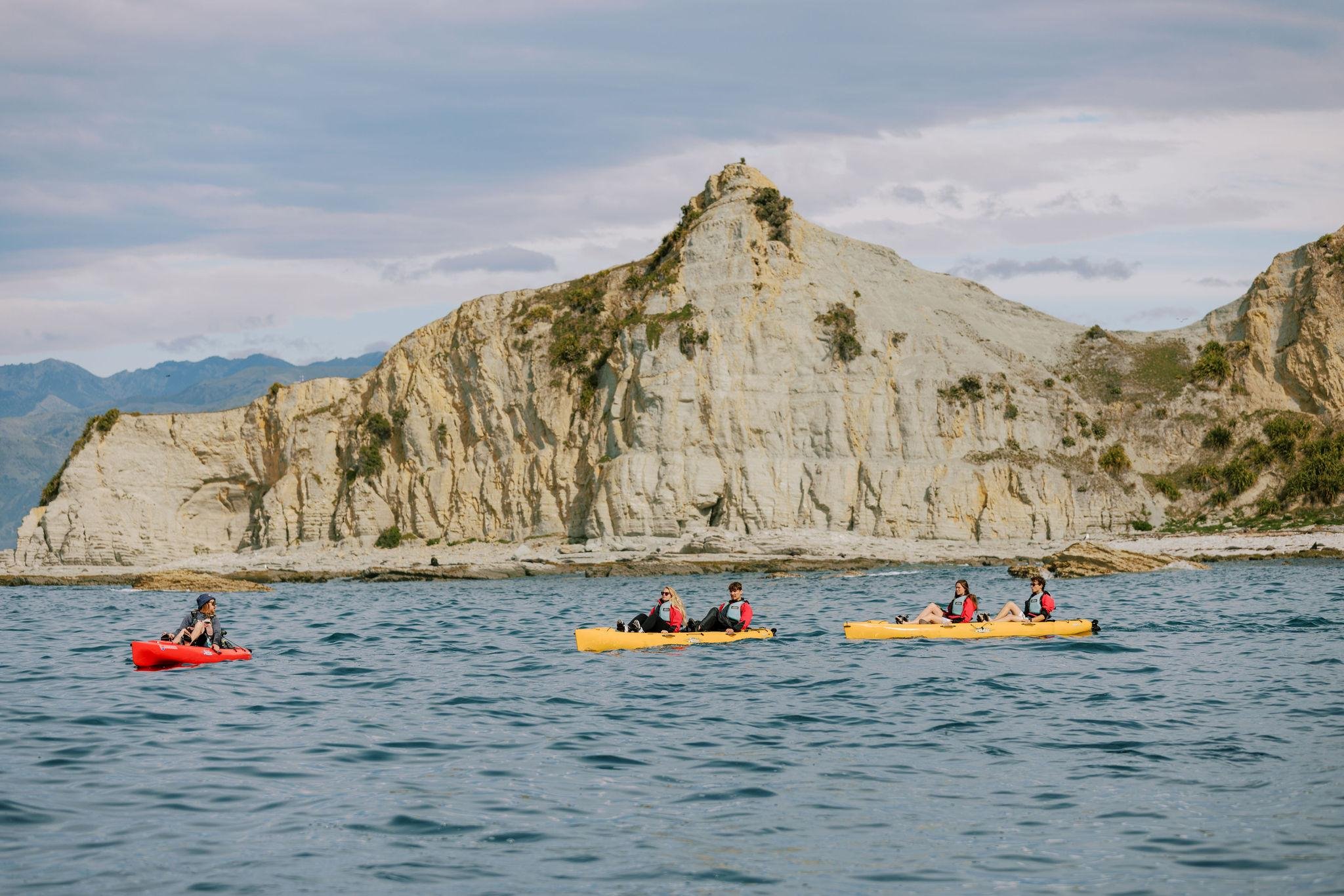 Kaikoura: Seal-Watching Pedal Kayak Tour