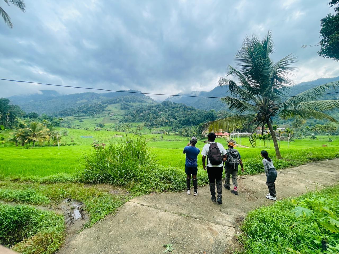 Knuckles Mountain Range Stream Trek & Village Experience