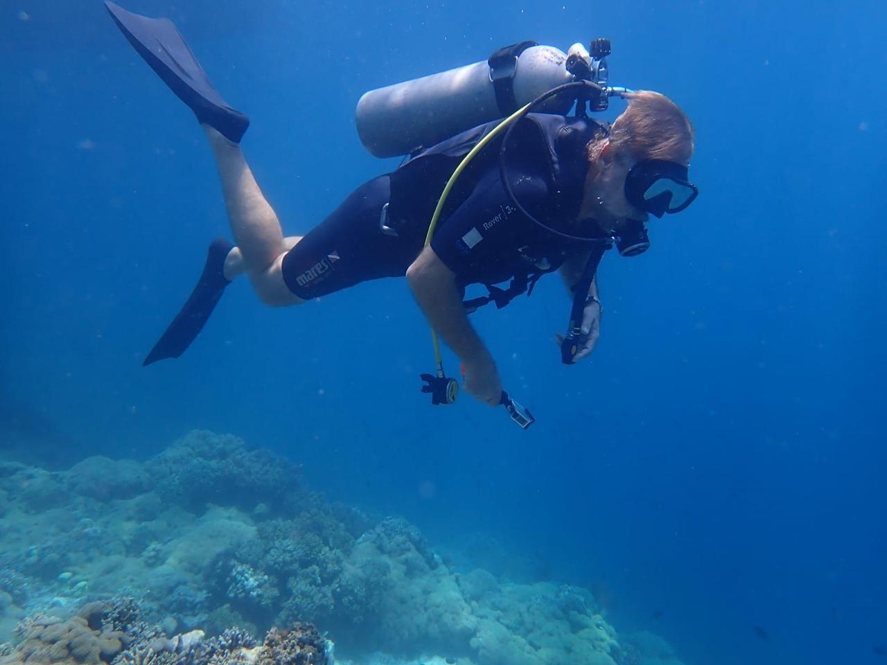 Menjangan Island Diving Adventure with Lunch