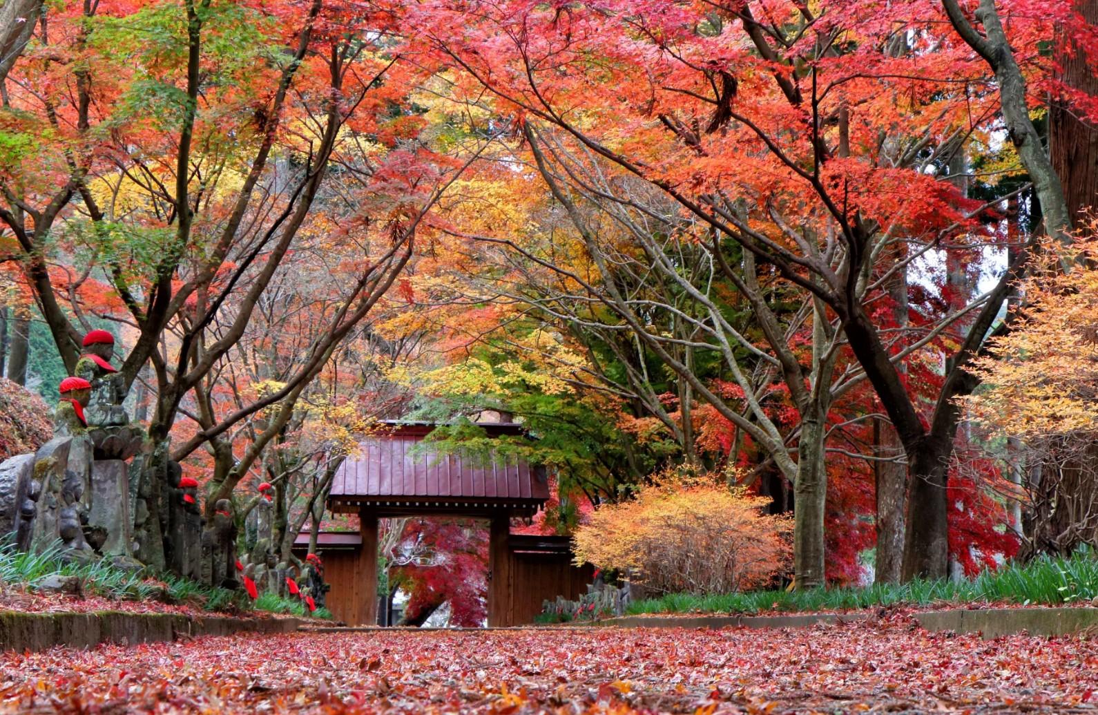 Private Mt. Fuji Day Tour from Tokyo