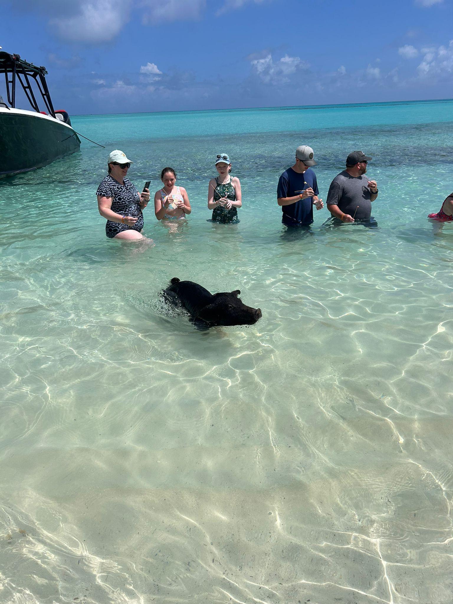 Nassau 3-Island Speedboat Adventure: Pigs, Turtles & Snorkeling