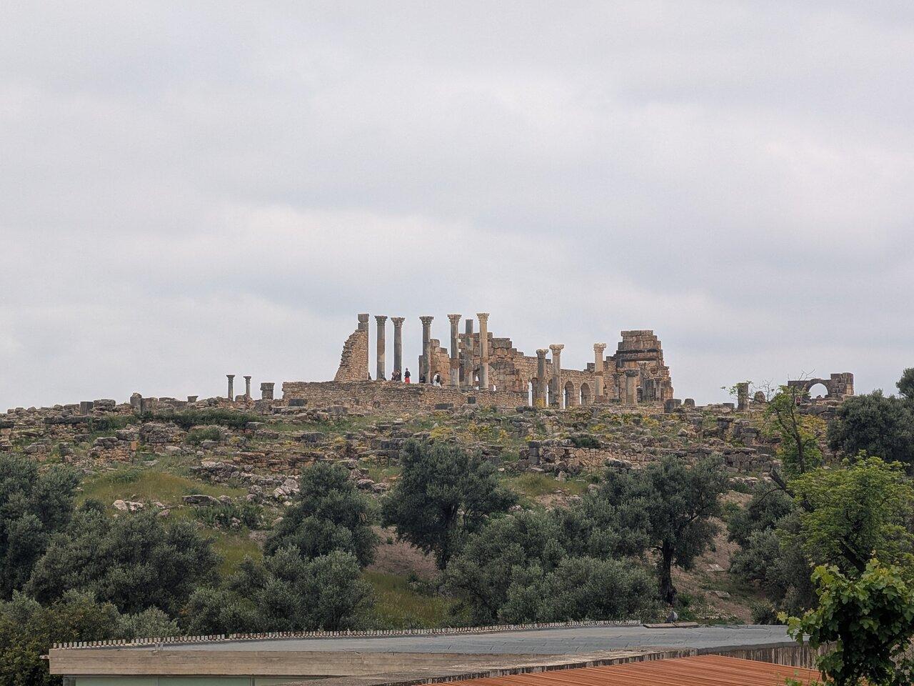 Fes to Volubilis, Moulay Idriss & Meknes Full-Day Tour