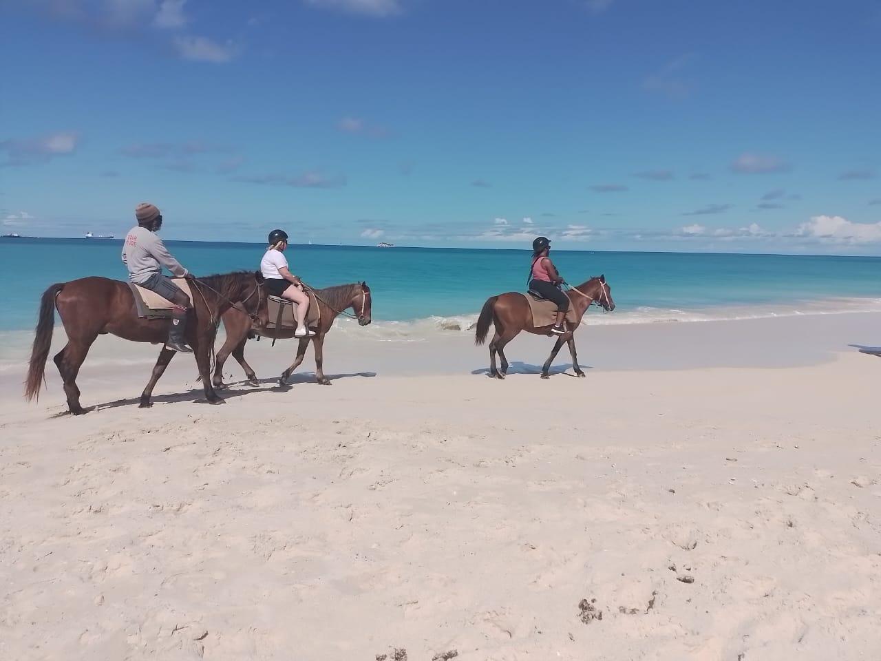 Horseback Beach Ride & Bareback Swim at Fort James