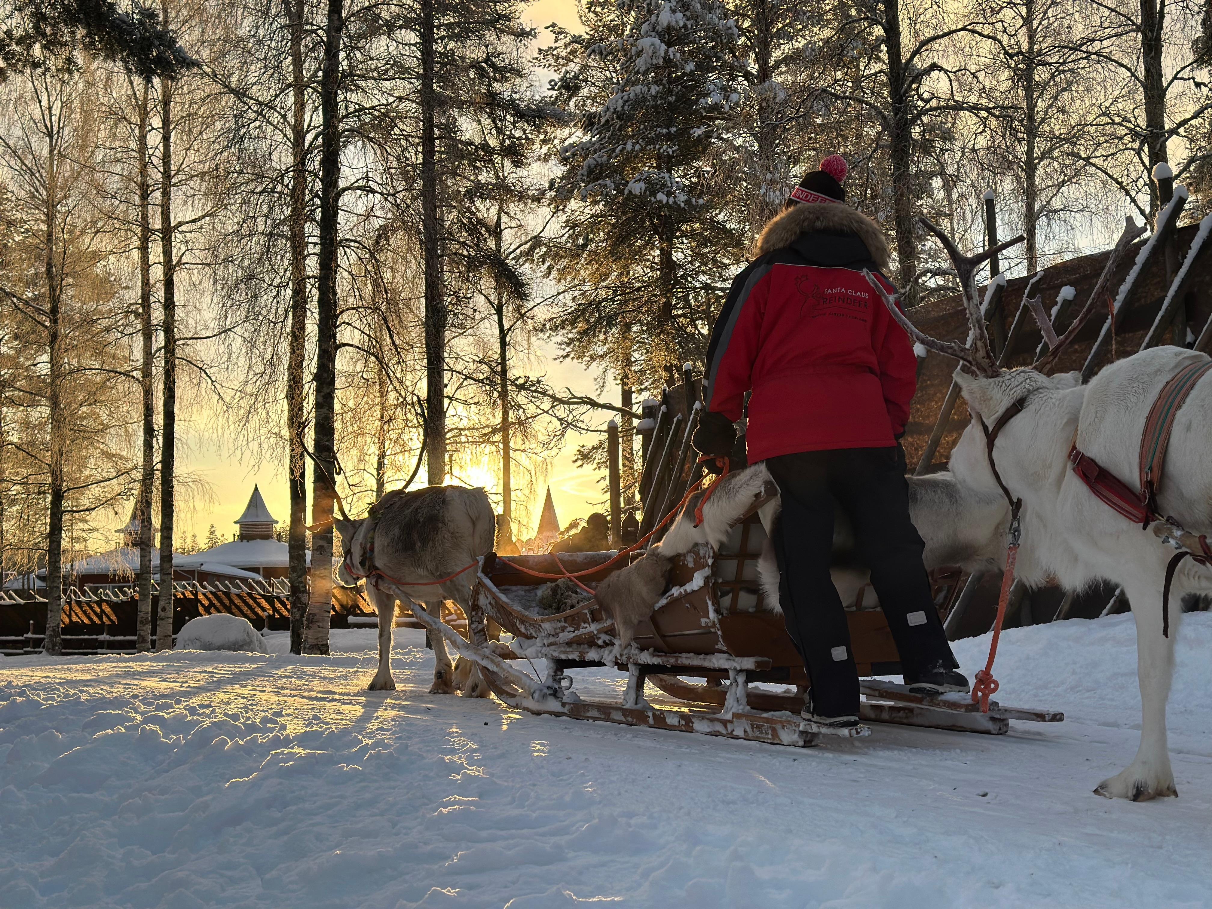 Private Lapland Day Tour: Santa's Village, Reindeer & Arctic Wildlife