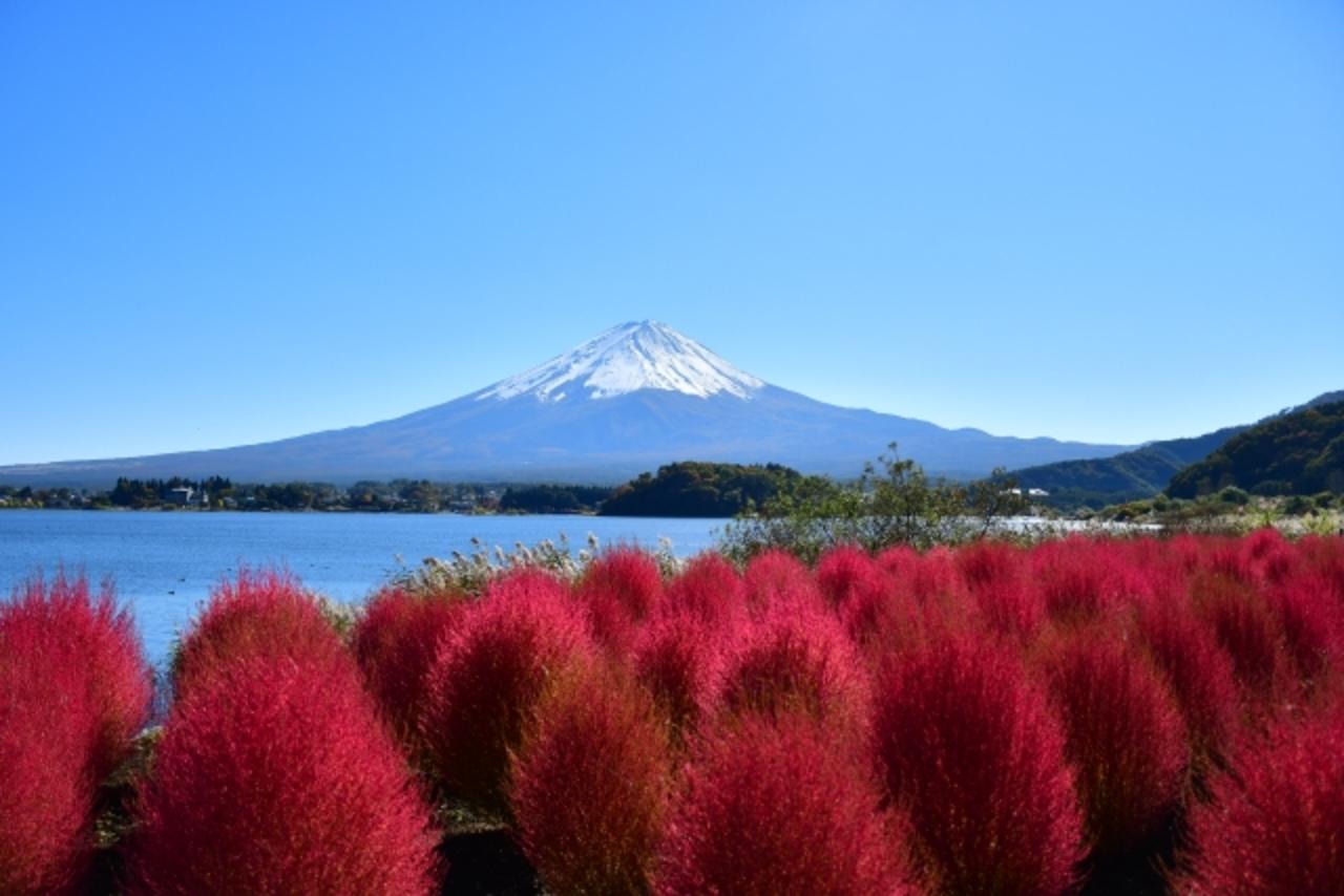Mt. Fuji Day Tour: Scenic Stops & Lake Kawaguchi Cruise from Tokyo