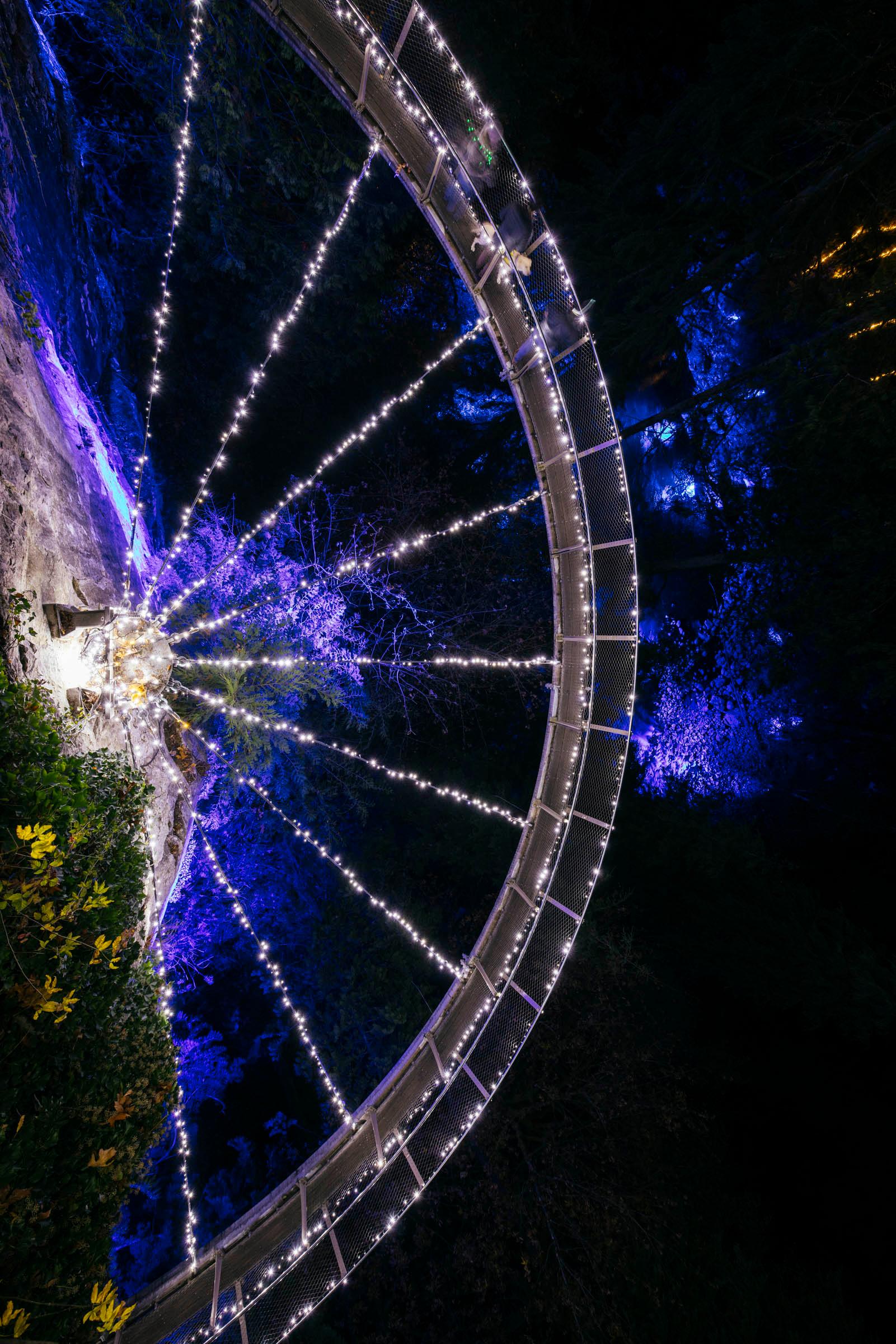 Capilano Suspension Bridge Park Entry