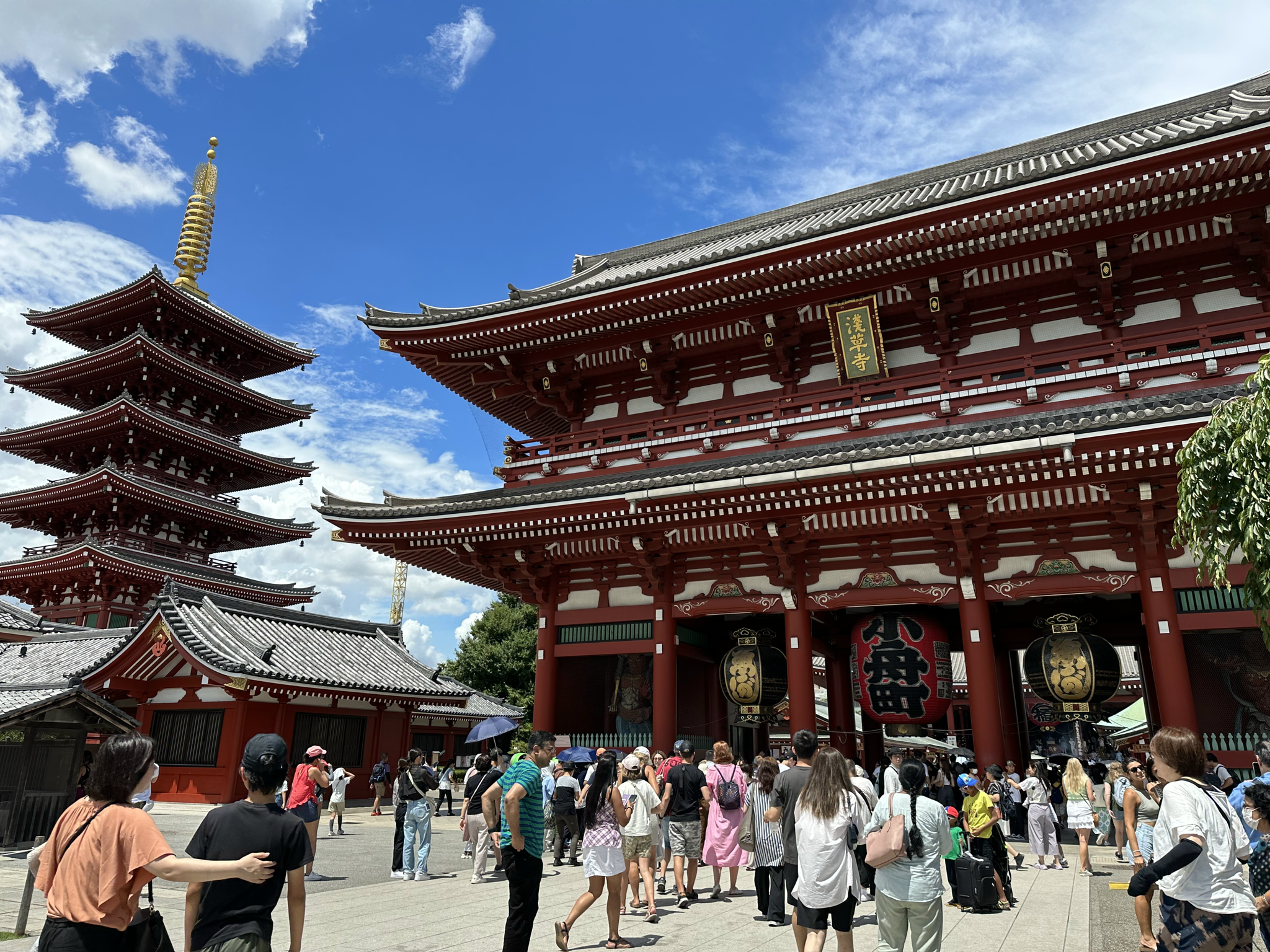 Dynamic Tokyo Full-Day Tour: Tea Ceremony, Buffet Lunch & Bay Cruise